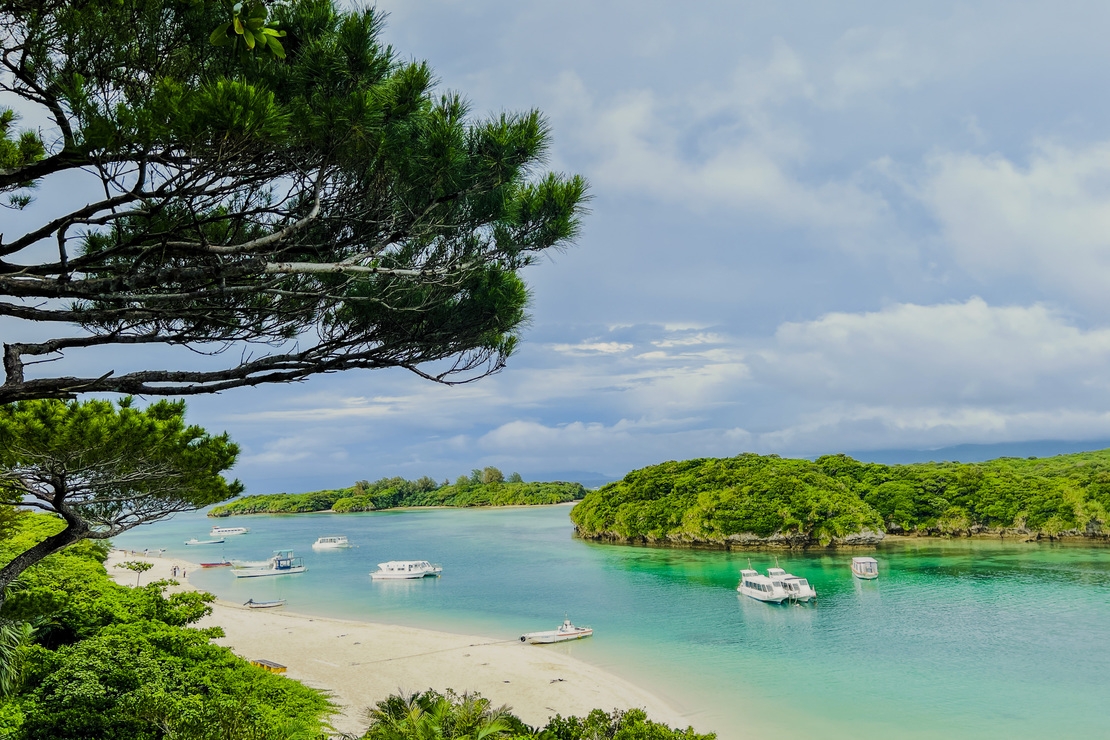 素泊まり・連泊プラン