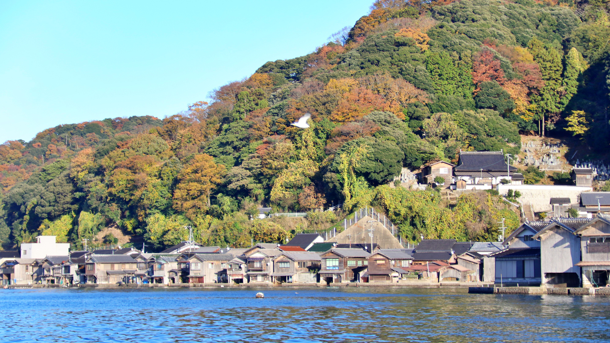 【クルージング】伊根 