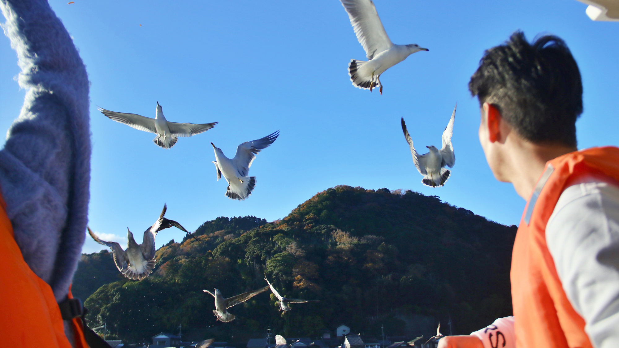 【モデル】クルージング