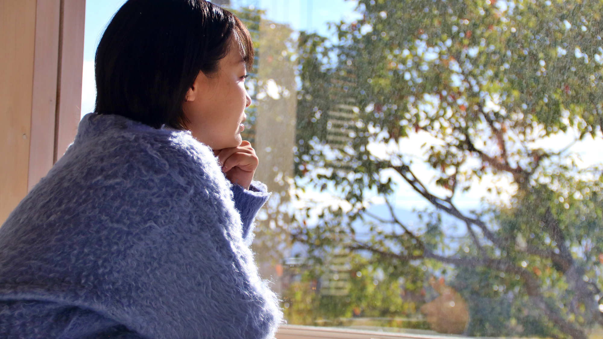 【モデル】イメージ 