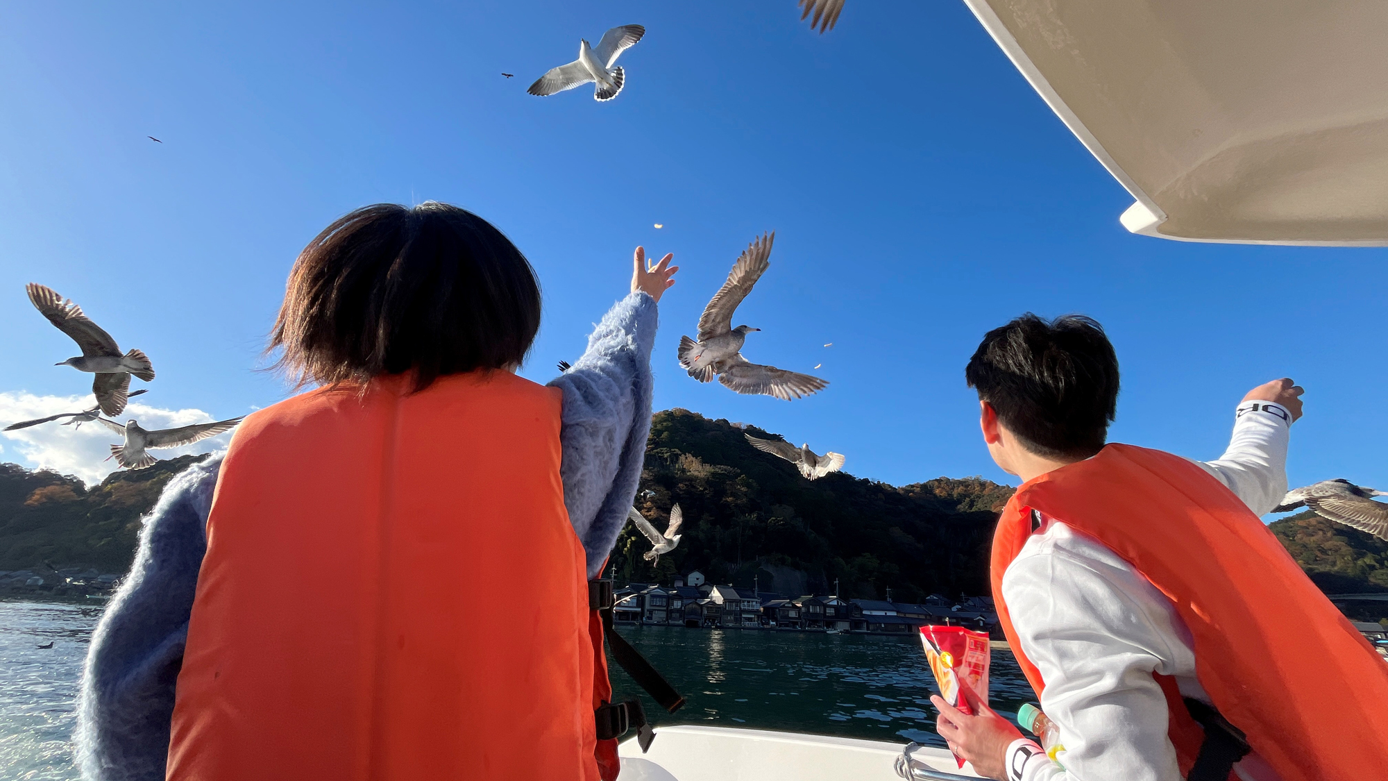 【モデル】クルージング