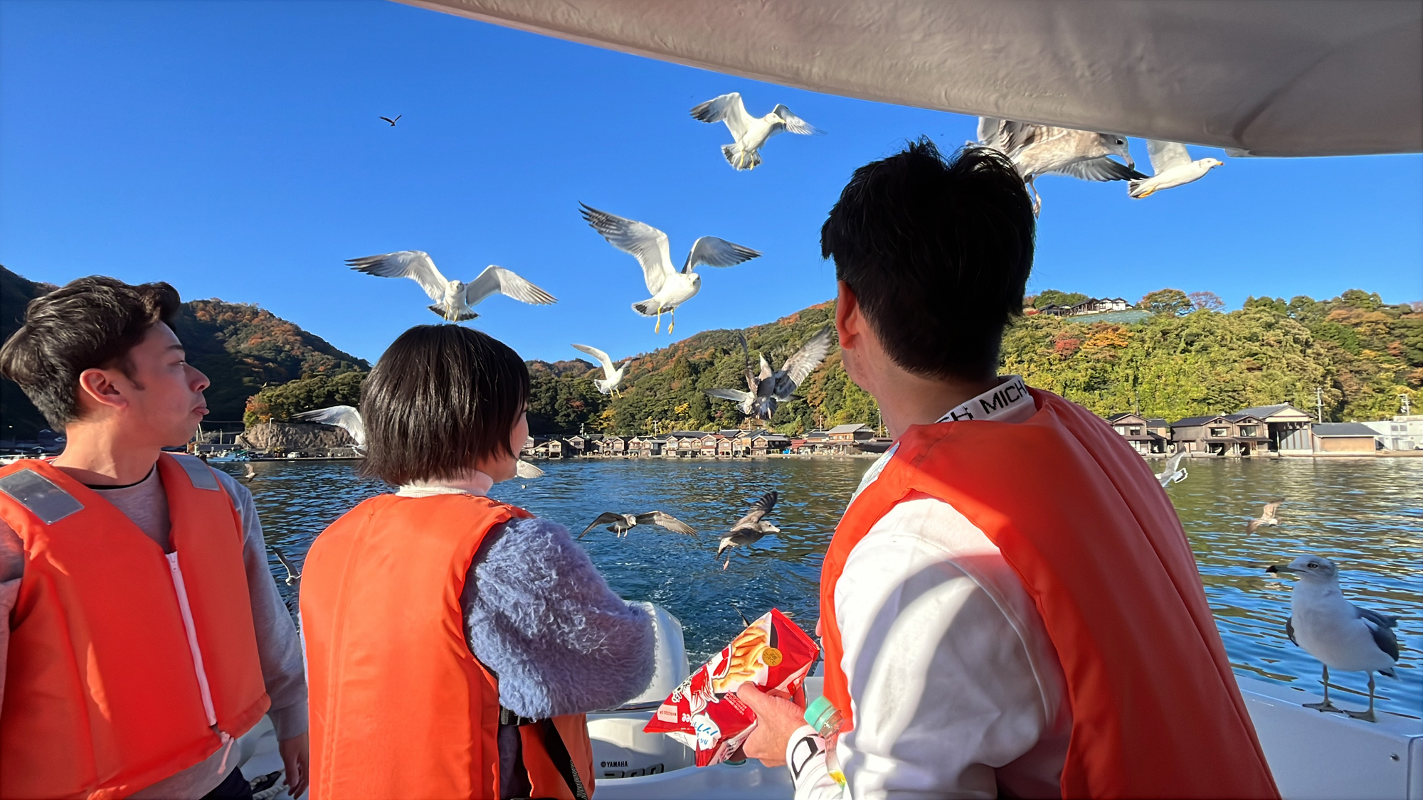 【モデル】クルージング