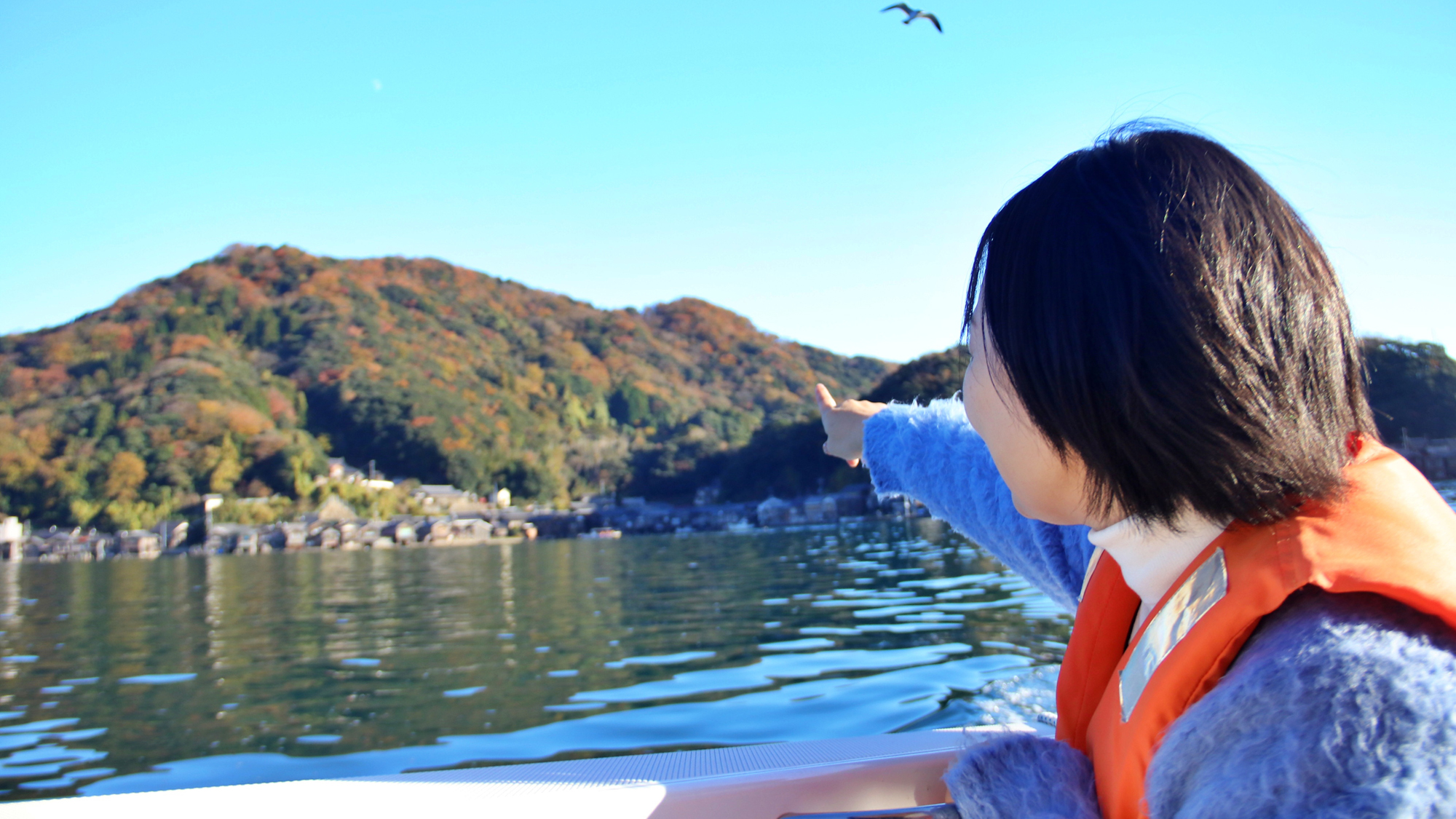 【モデル】クルージング