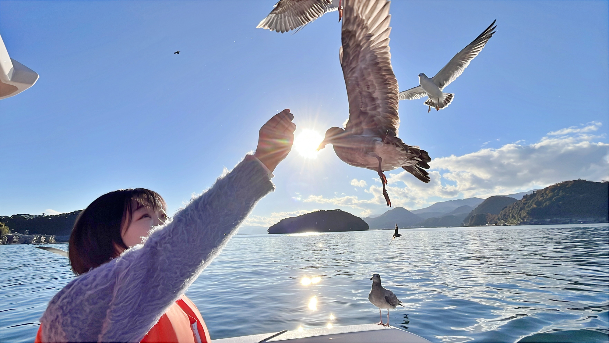 【モデル】クルージング