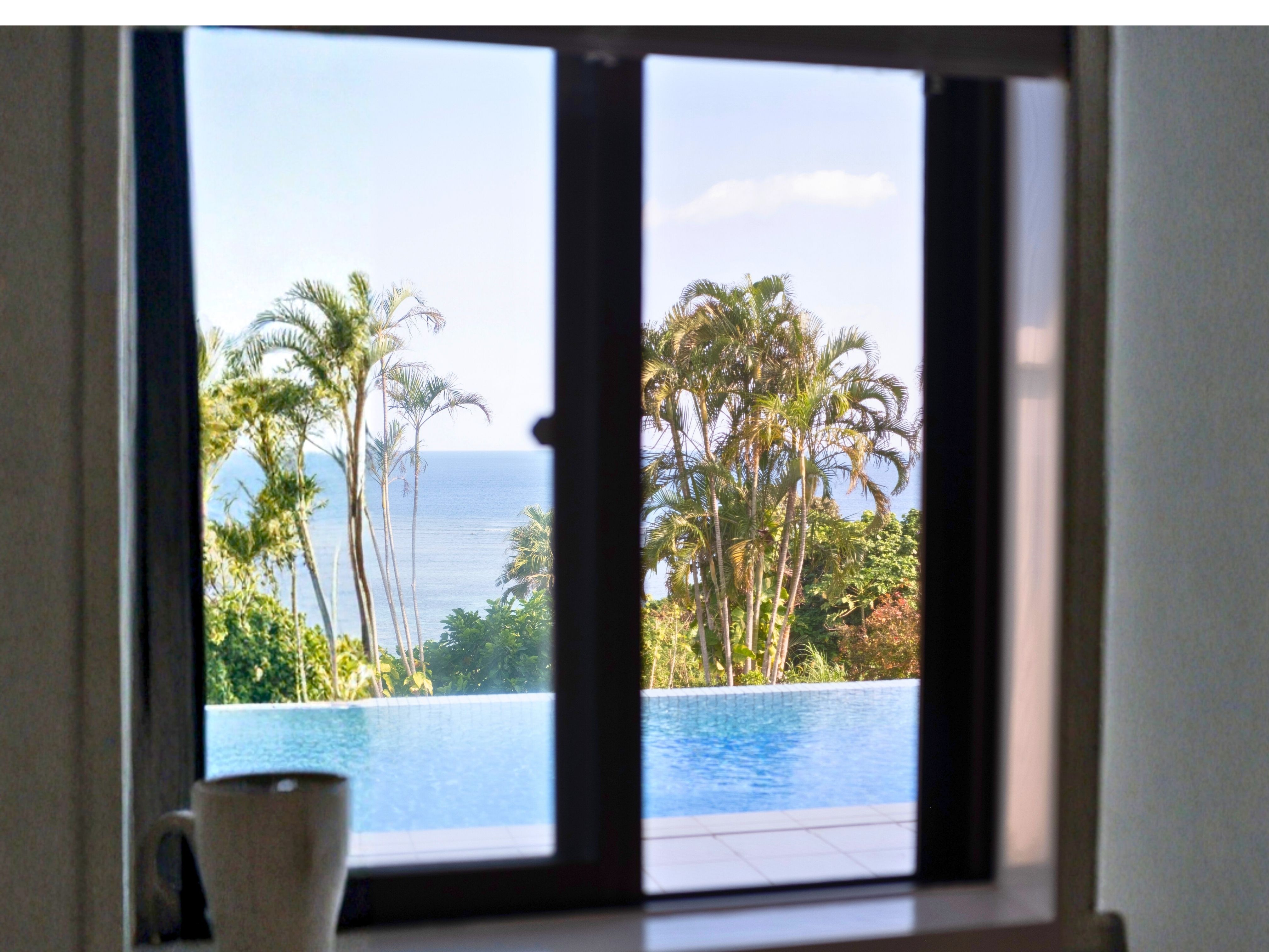 客室からの南国ビュー