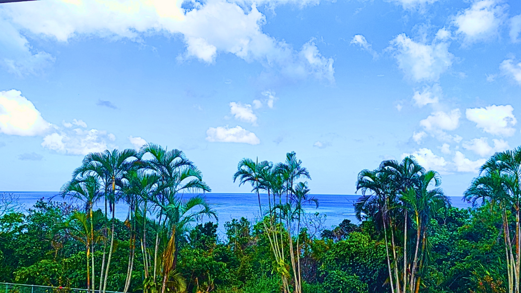 部屋からの景色