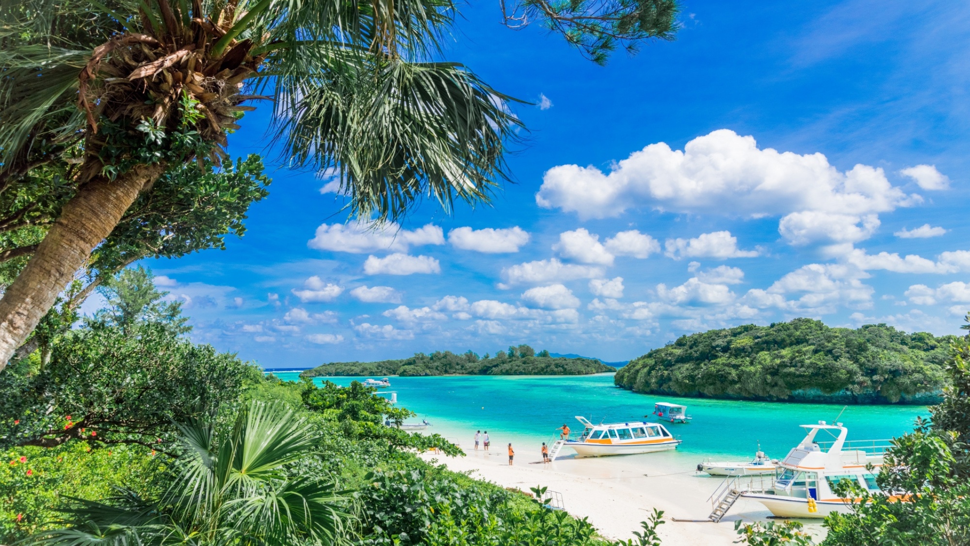 川平湾まで車で5分