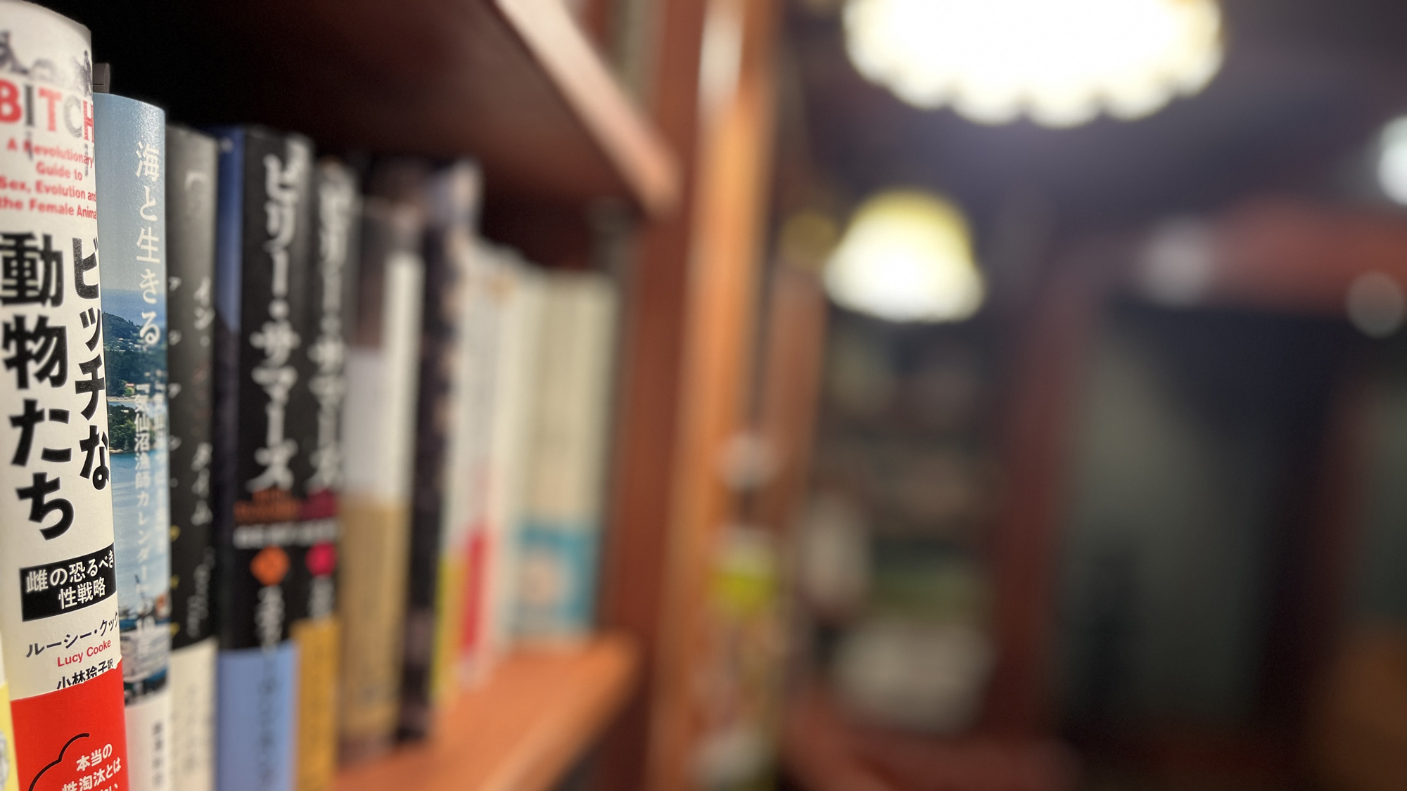 施設_喫茶モンマルトル_一階の読書スペースはレトロ感と雰囲気が最高！*