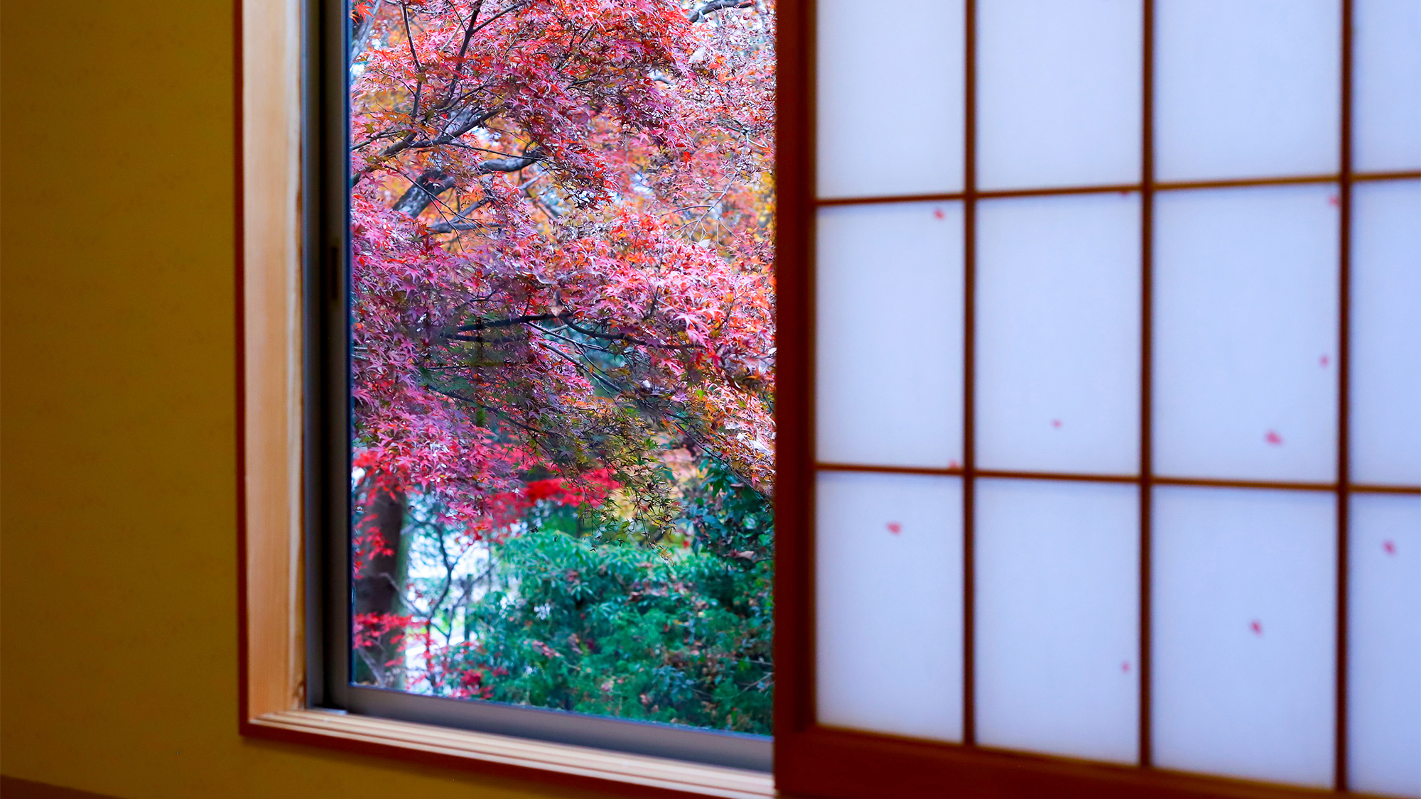 離れ和洋室　和室