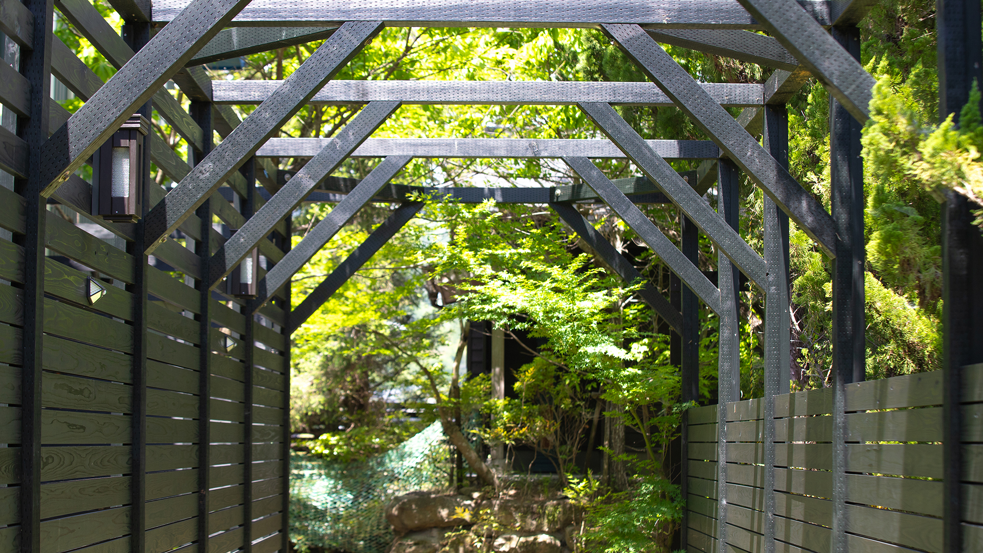 新緑の風景