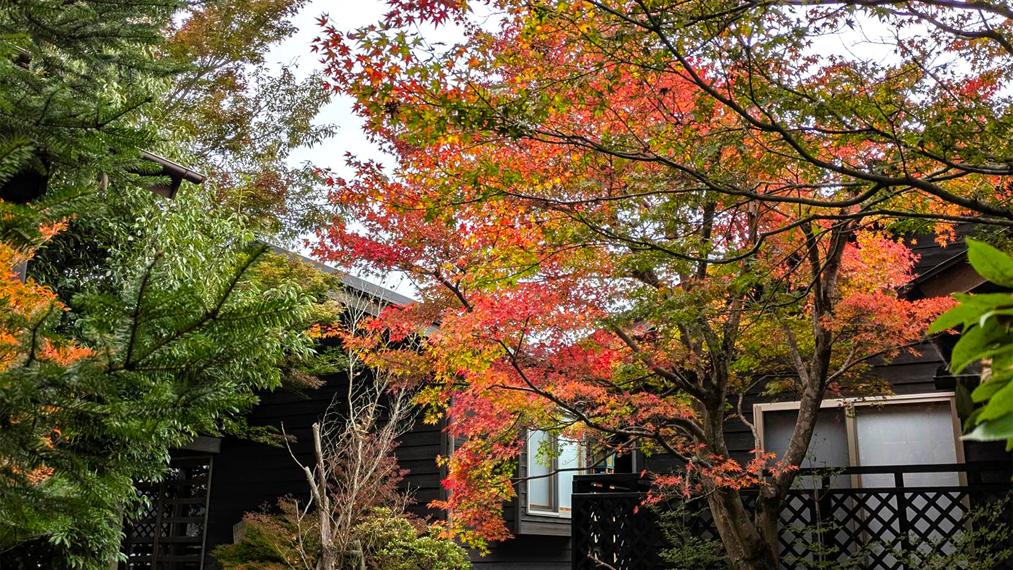 離れ和洋室　外観