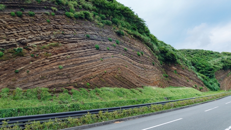 【愛犬と一緒に伊豆大島ステイ】わんちゃんプラン