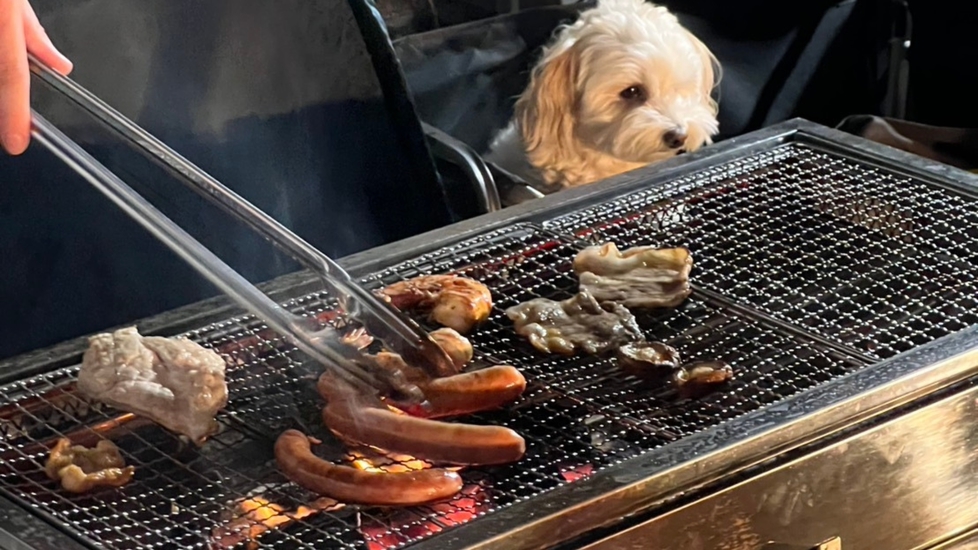 【愛犬と一緒に伊豆大島ステイ】わんちゃんプラン