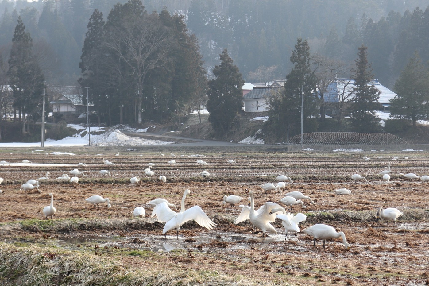 2701Wnt　27年冬のおすすめ　旬の懐石に郷土料理を織り込む2食付プラン
