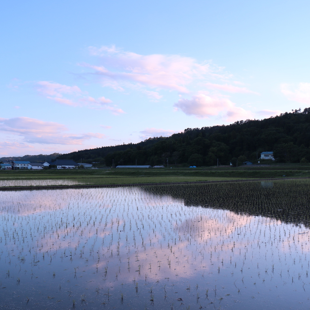 26春「森 -mori-」・地産厳選！・郷土料理づくしの夕食プラン　2食付