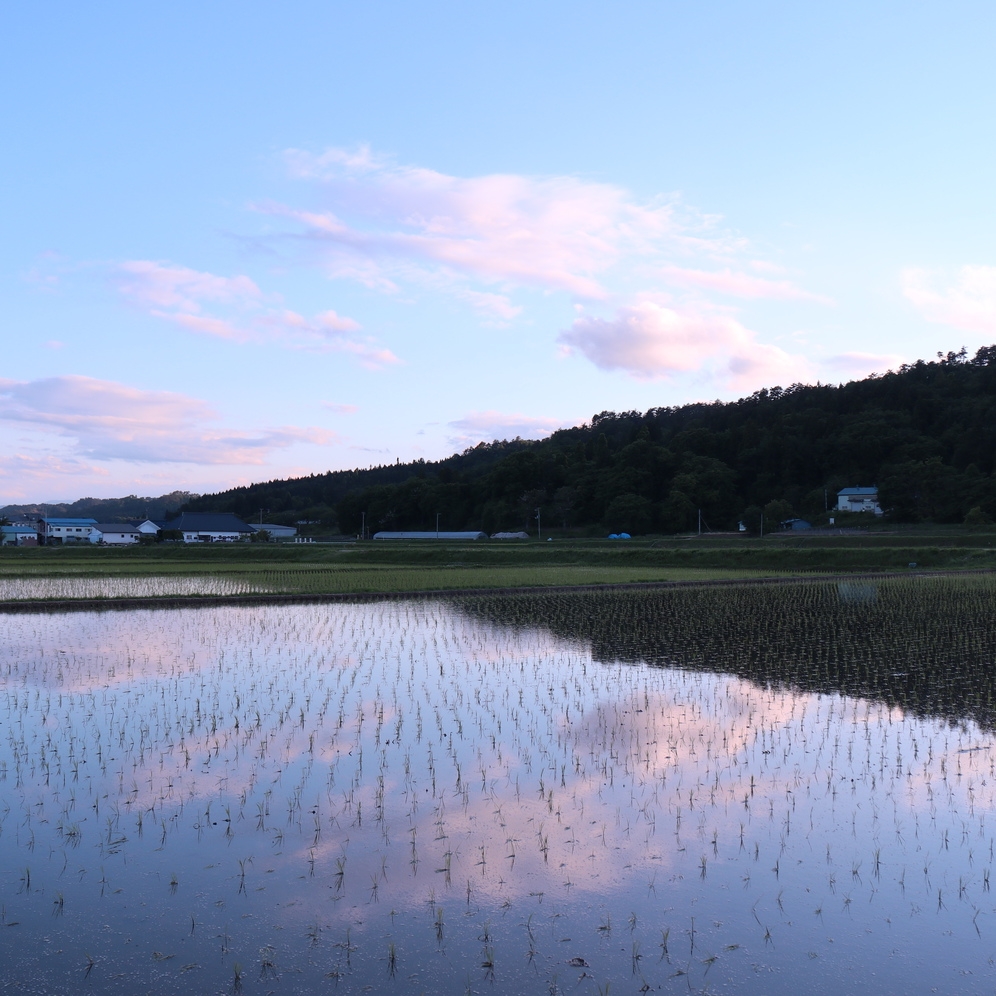 26春「森 -mori-」・地産厳選！・郷土料理づくしの夕食プラン　2食付