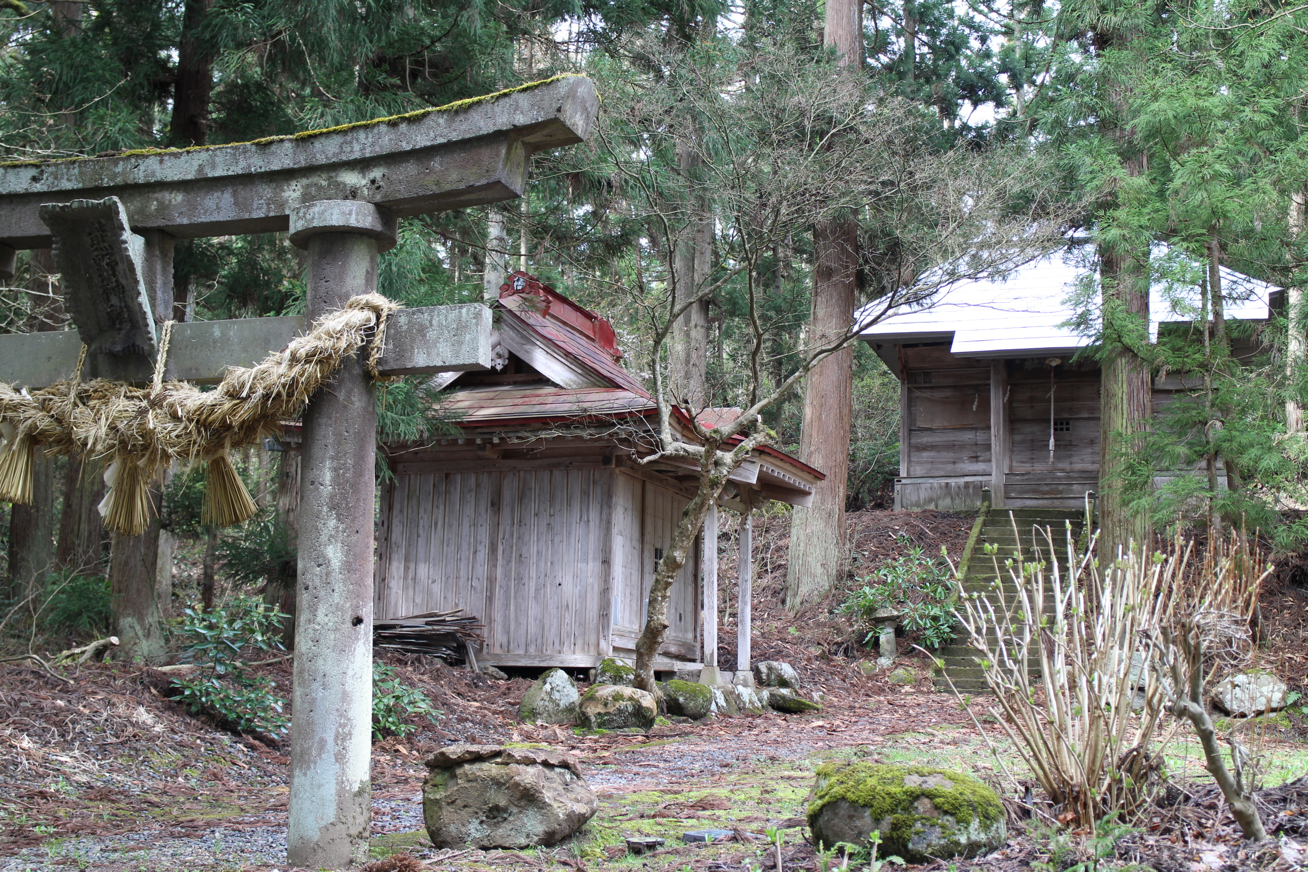 散歩コースの鎮守様