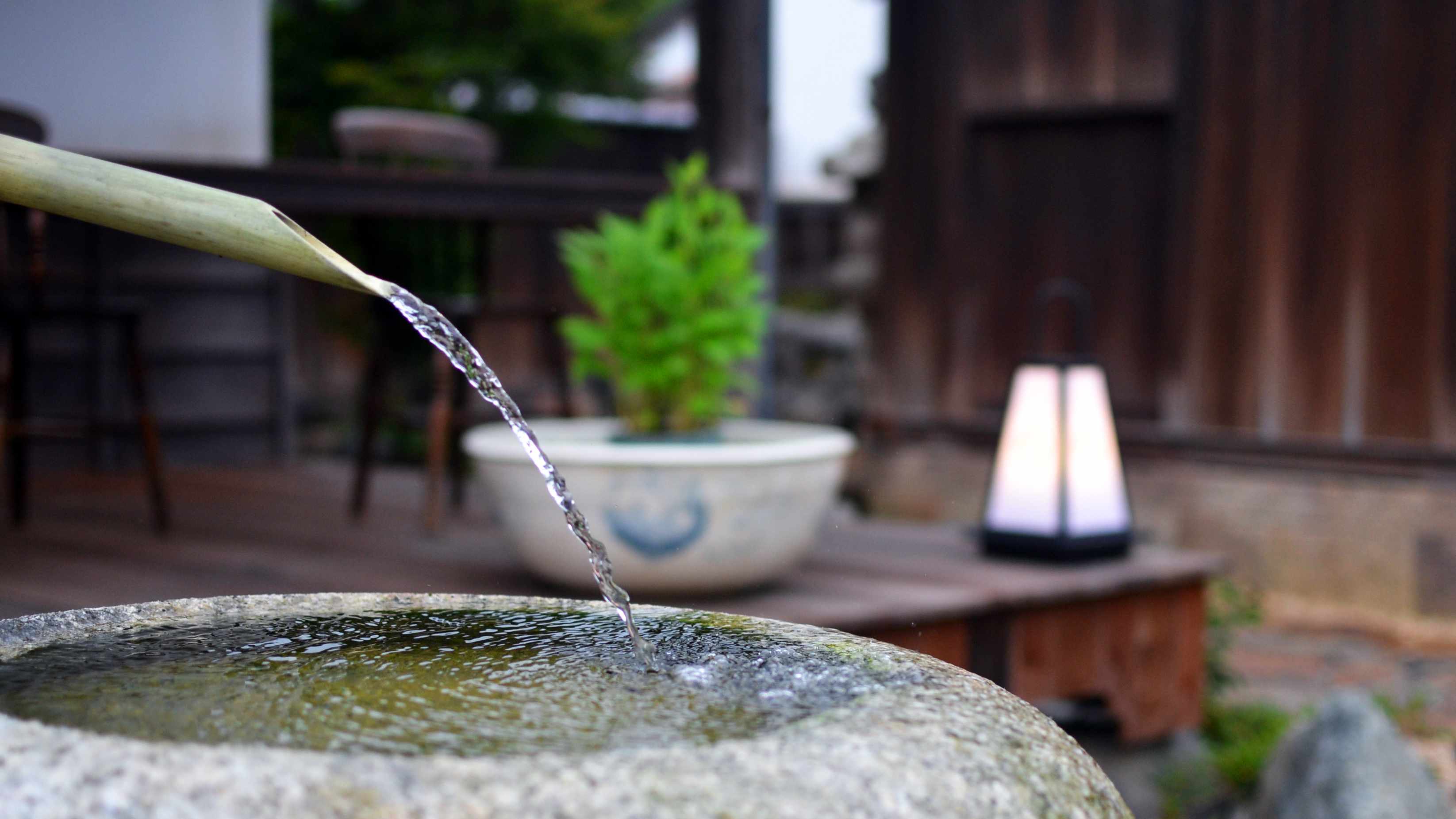～敷地にある水場からのウッドデッキ～