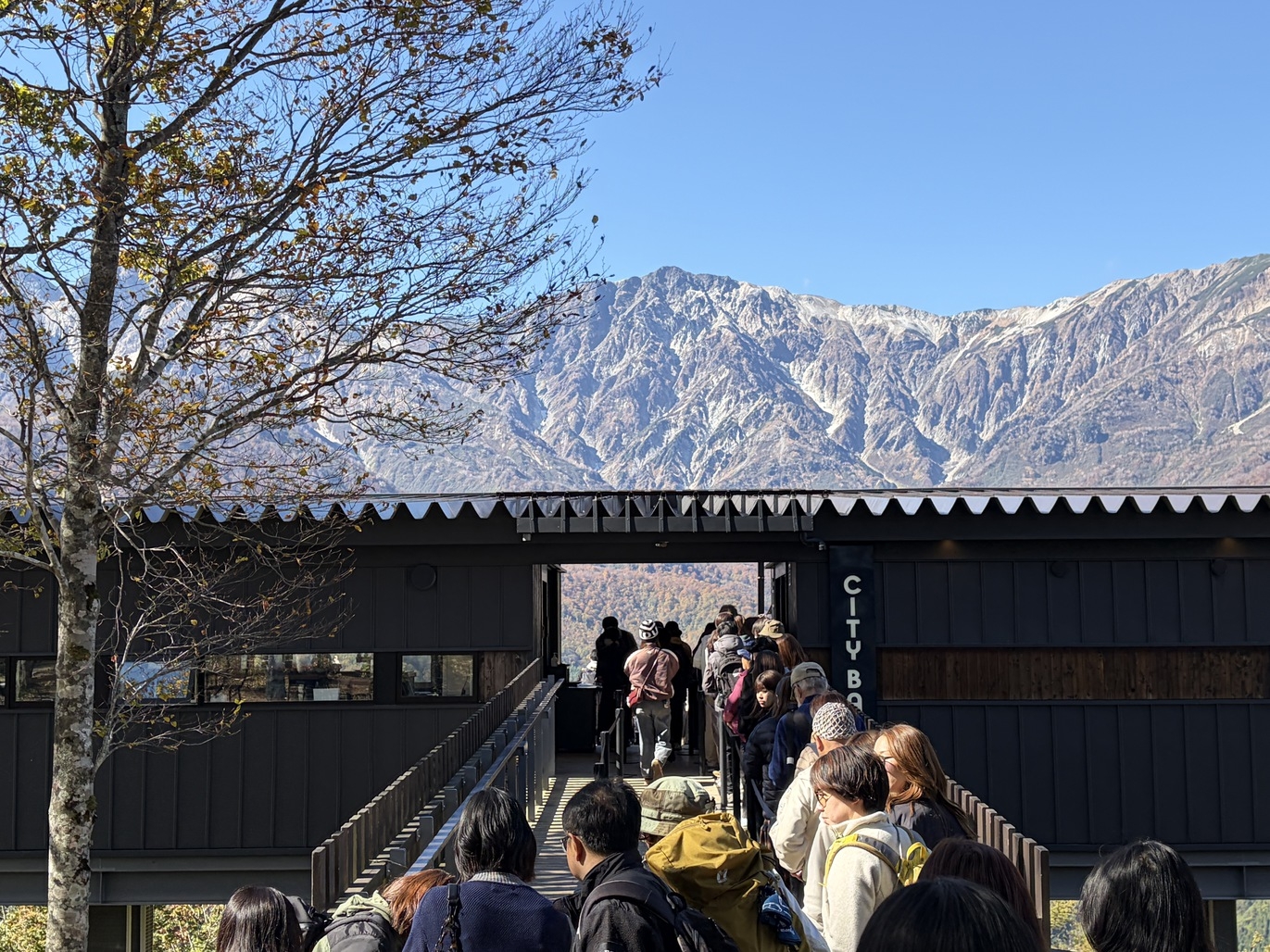 【白馬岩岳を遊び尽くす】ゴンドラチケット付き｜絶景・カフェ・アクティビティを満喫｜食事なし