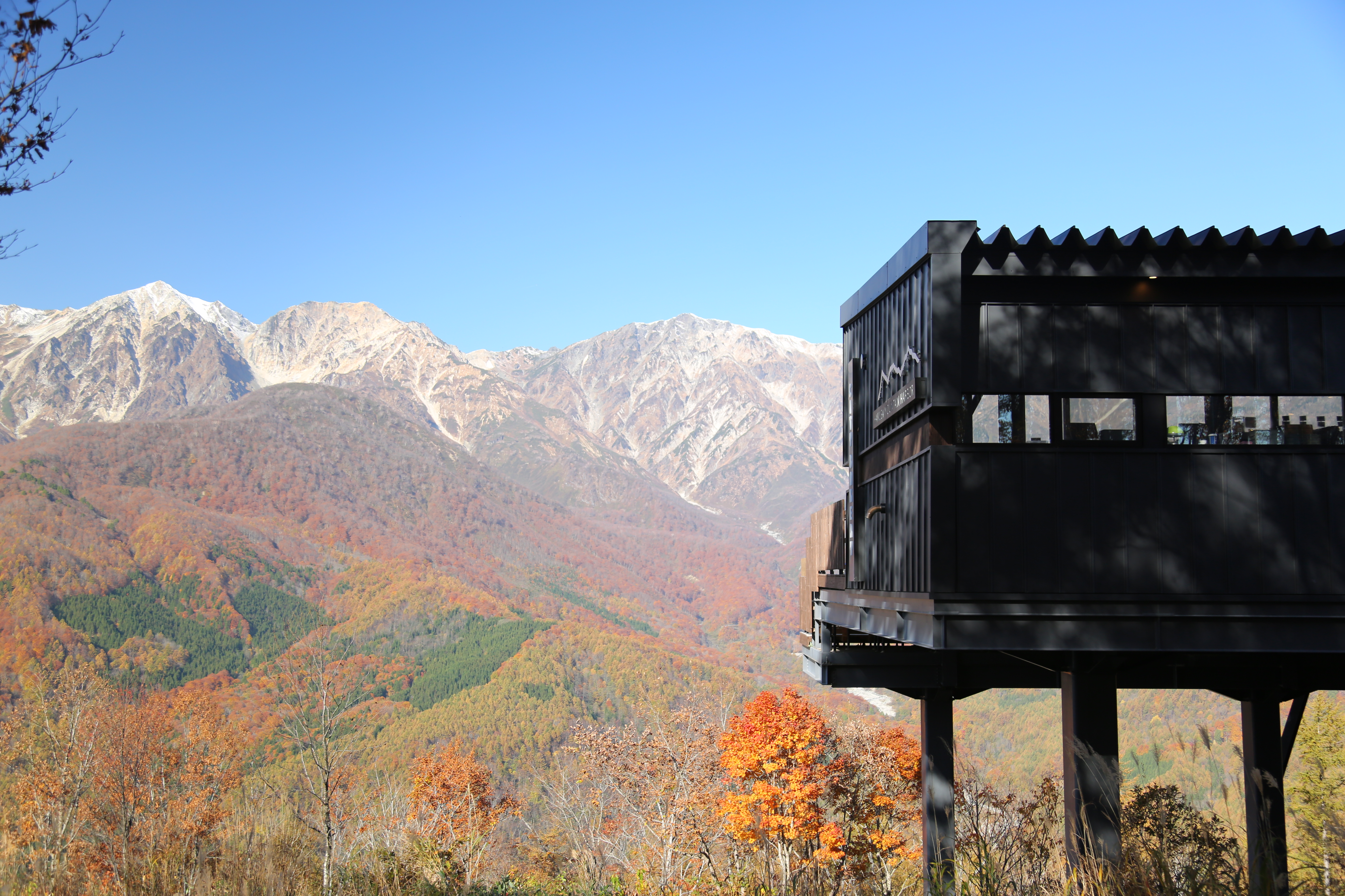 紅葉の白馬岩岳マウンテンリゾート