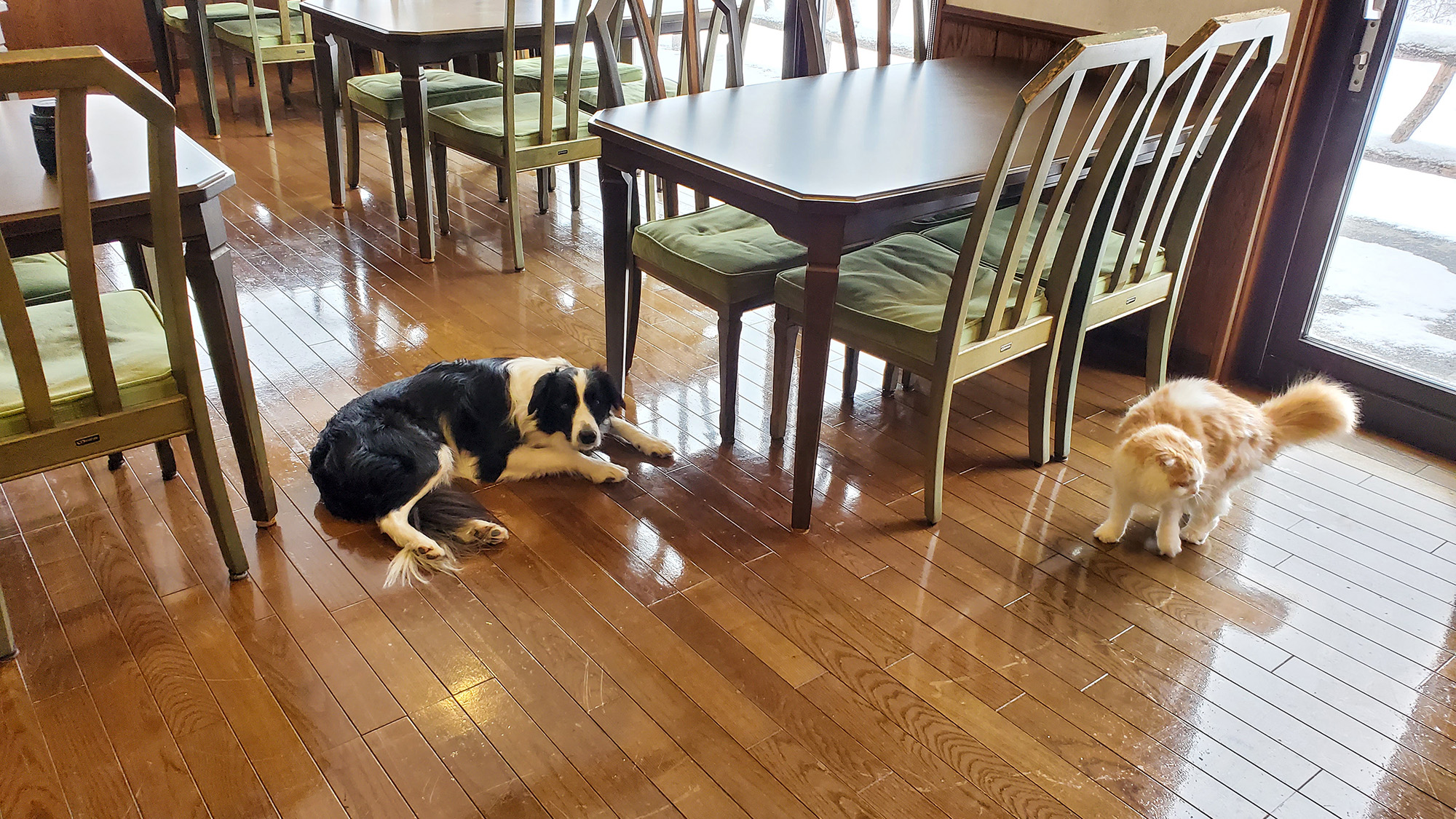 小さな家族と一緒に思い出づくり♪