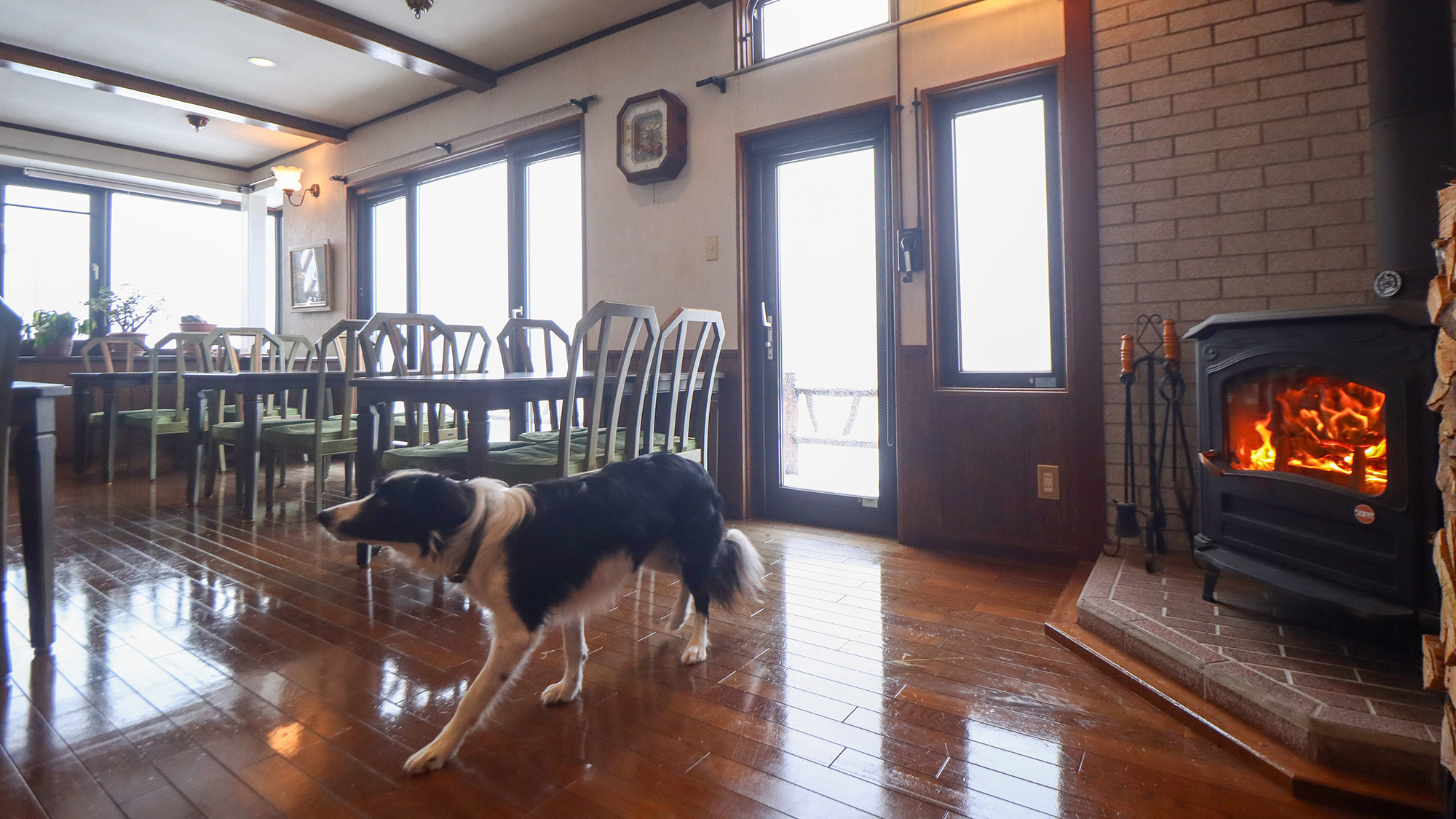 #ワンちゃんと一緒に寛ぐあたたかな館内