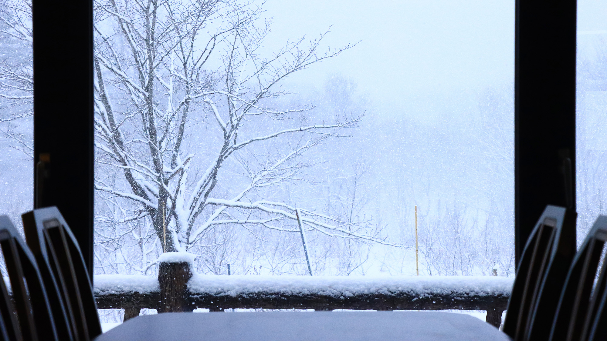 #レストランからの眺望