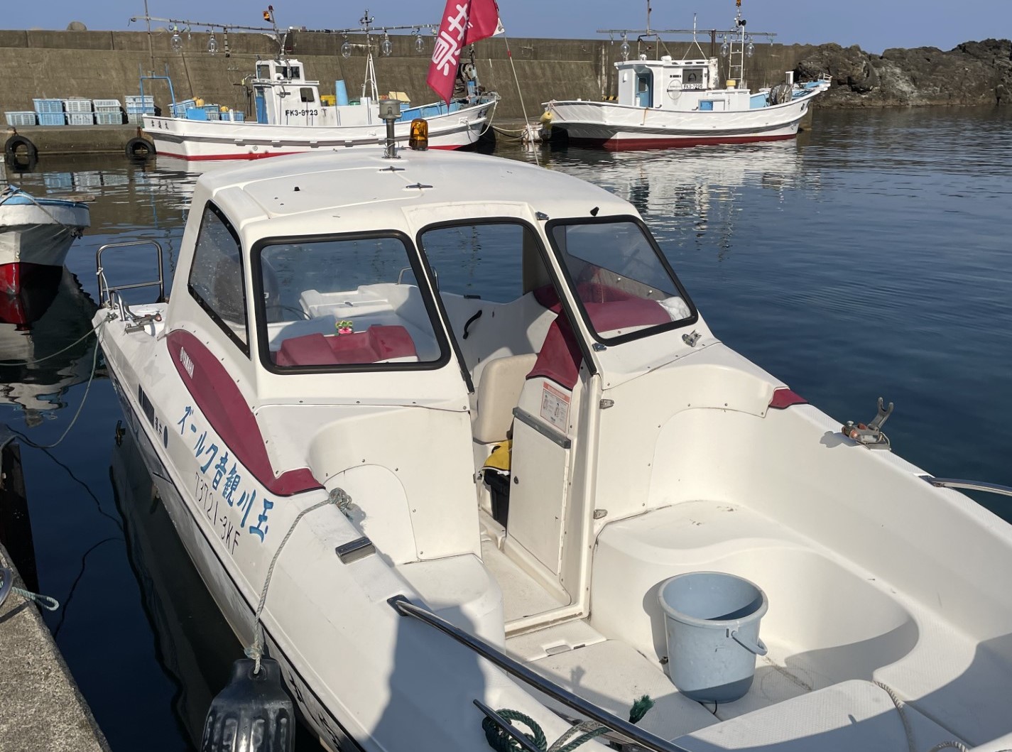 夏休み限定無料クルーズ船