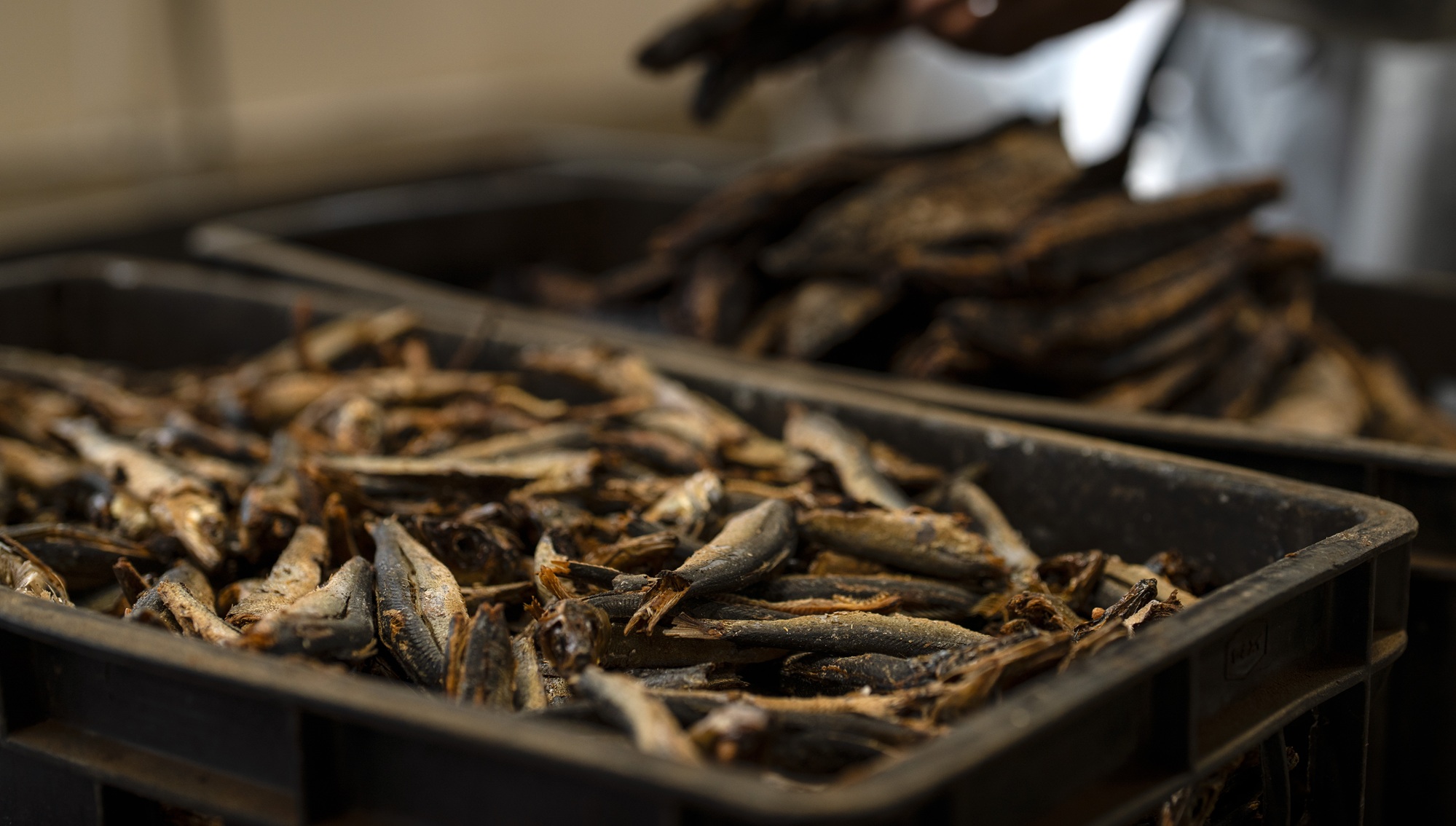 【お食事】一例