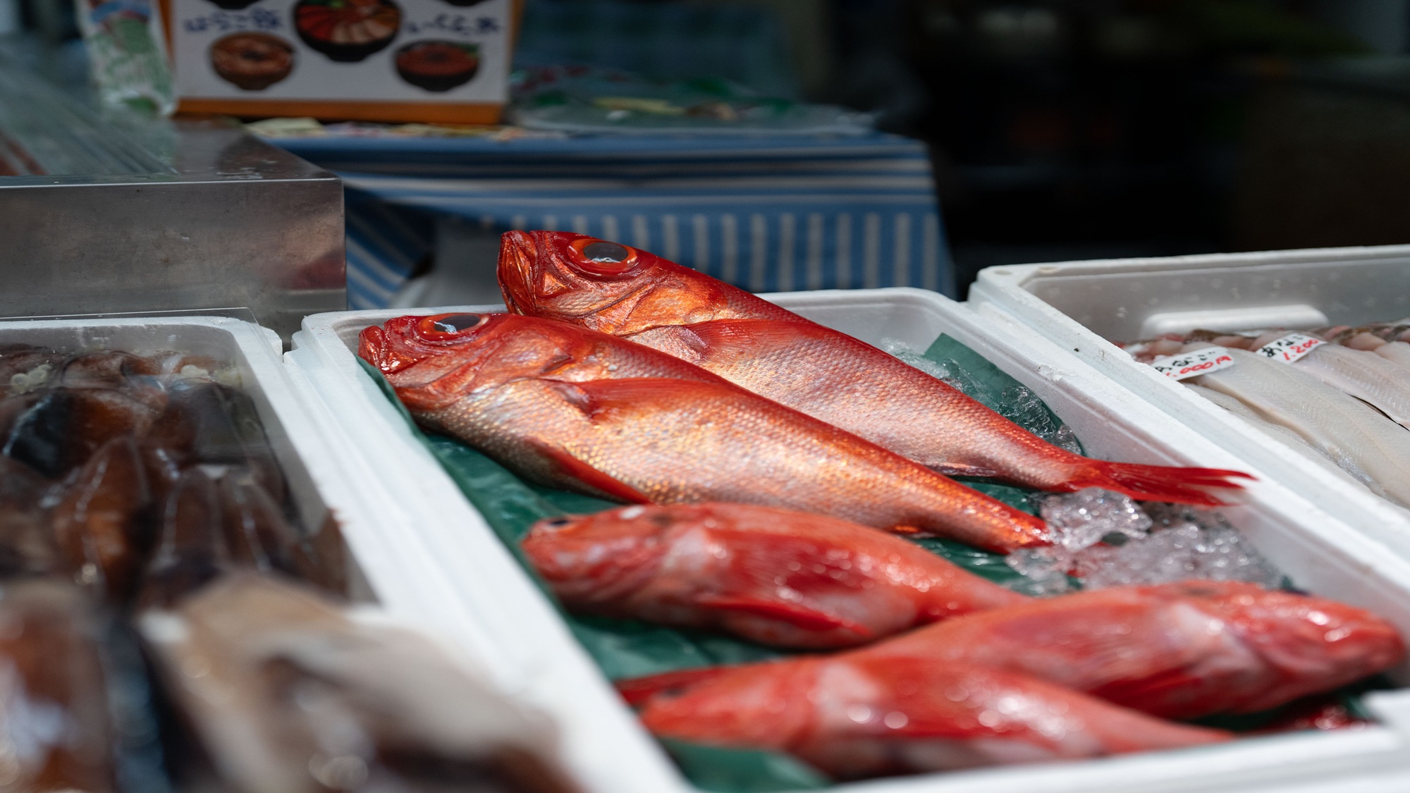 【お食事】一例