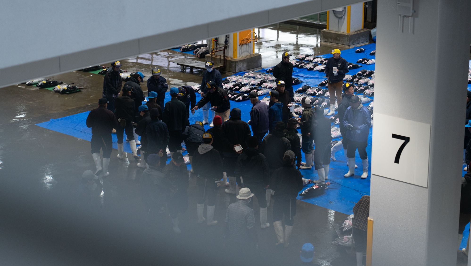 【お食事】一例