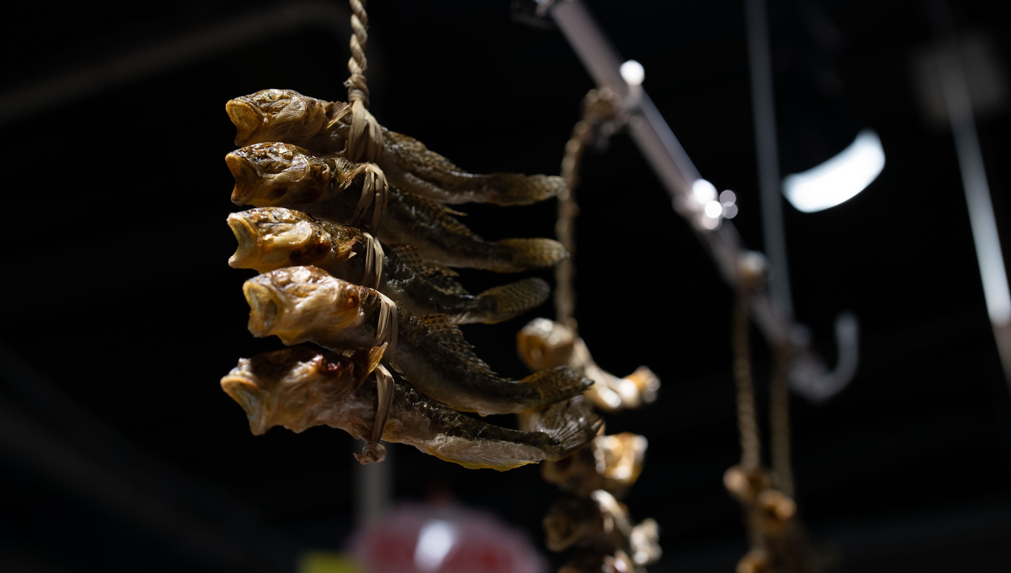 【お食事】一例