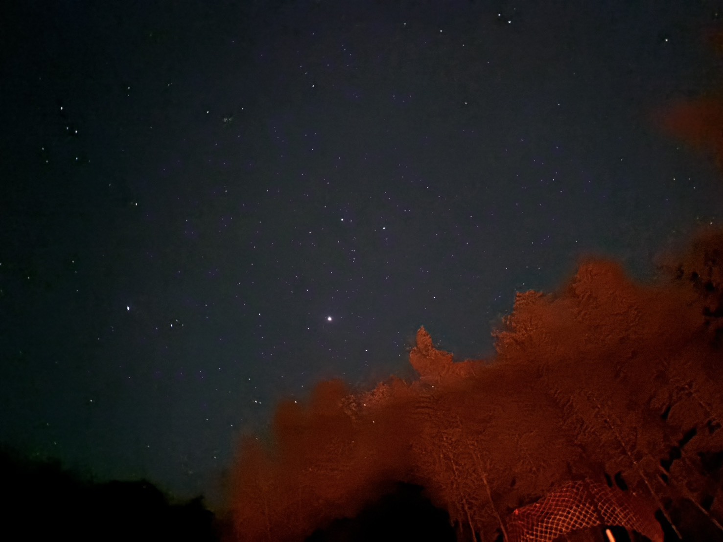 B棟平屋一棟貸切ガスBBQ・焚き火・IHキッチン完備！大多喜の湖畔ヴィラ隠れ家グループステイ最大6名