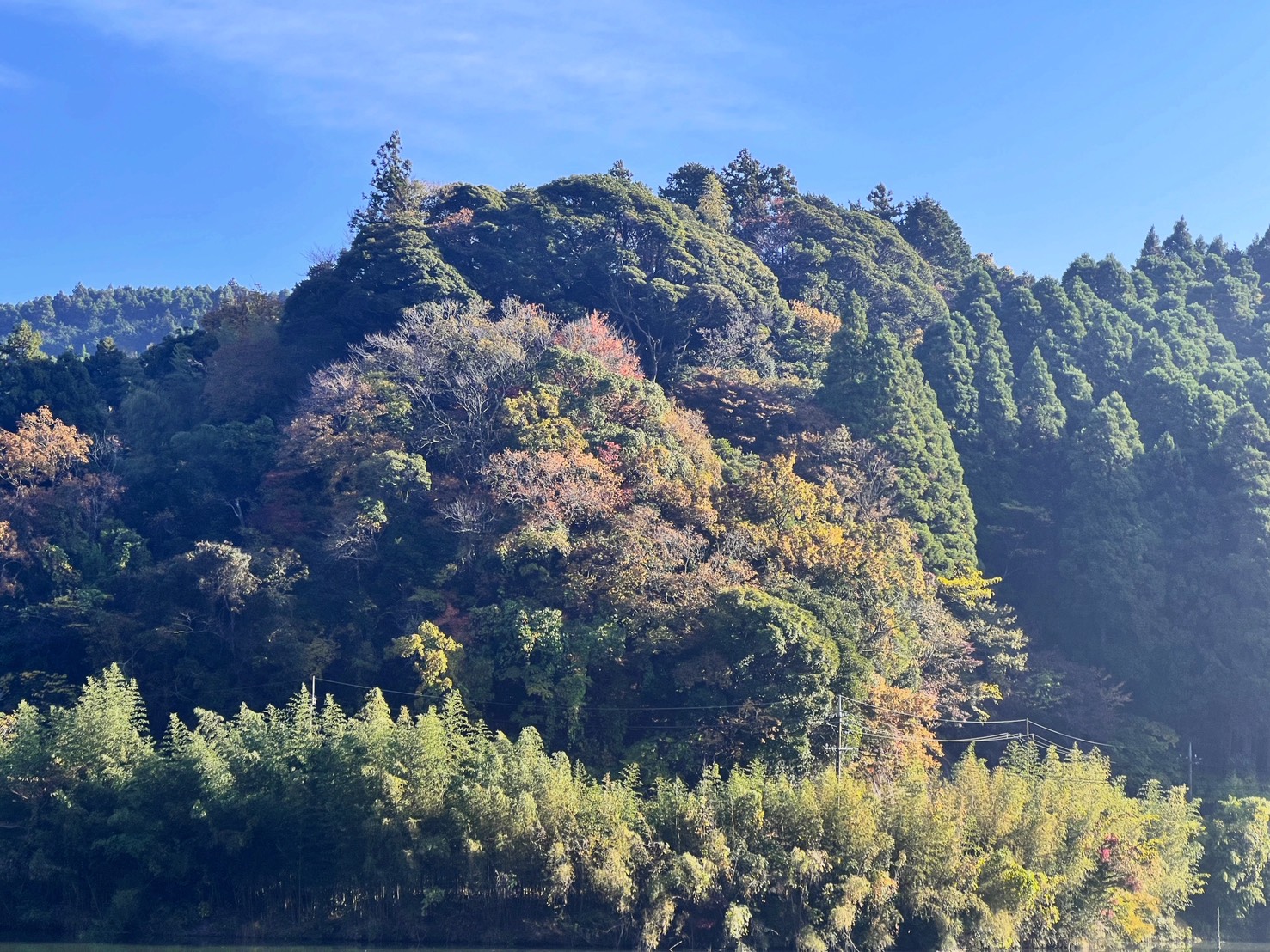 平沢ダム自然１