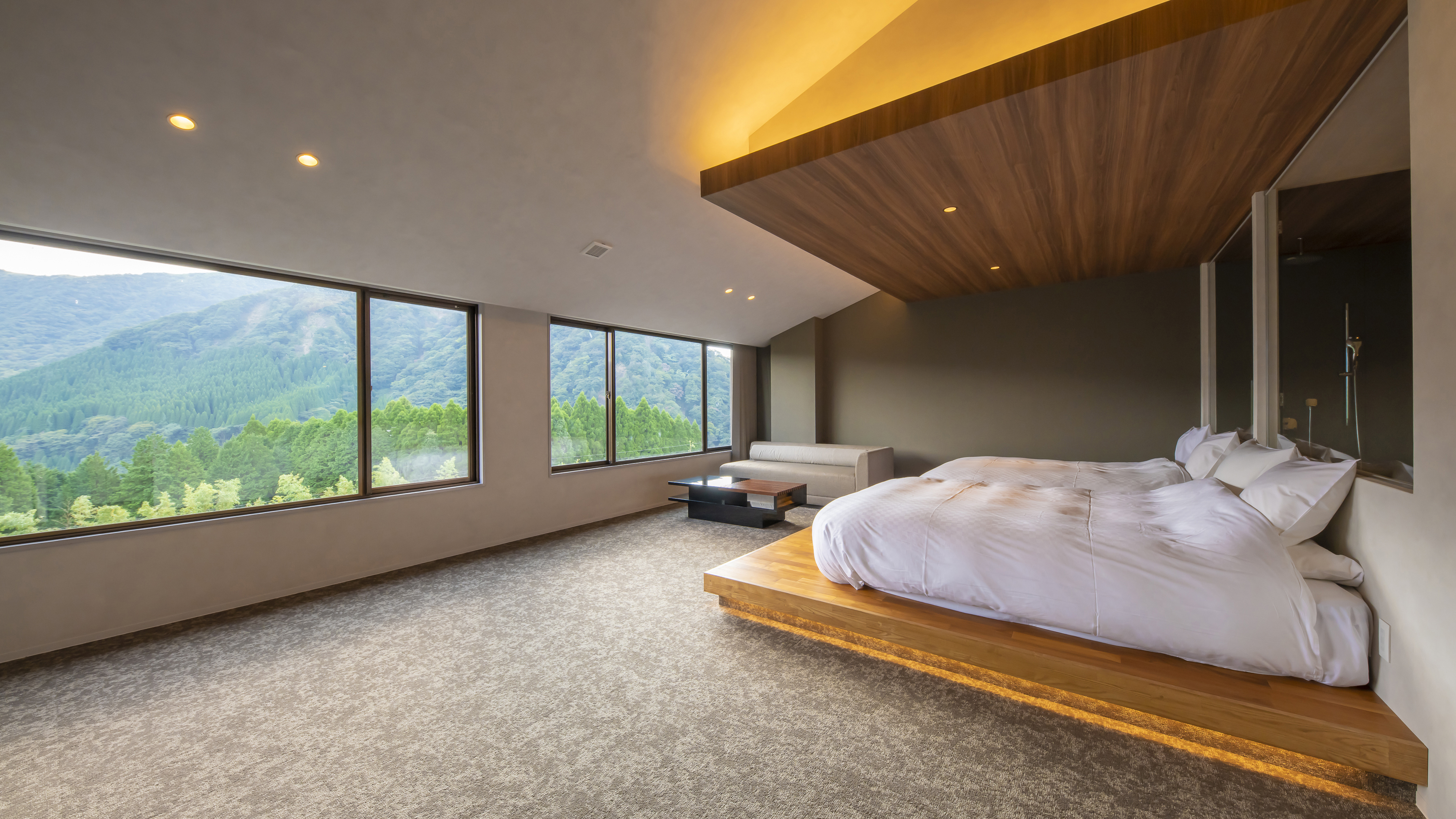 エグゼクティブヴァレーツイン