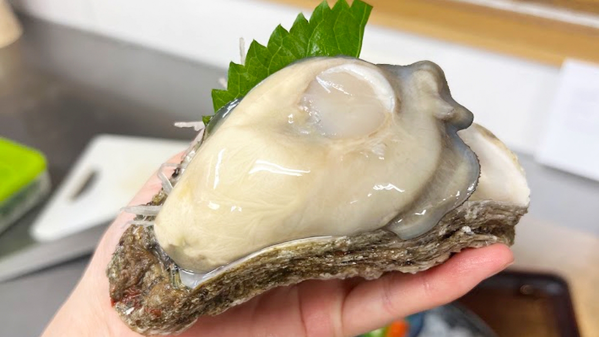 【日帰りランチ】〜夏だけのひと粒に出会う〜海テラスで味わうふくい岩がき贅の三味セレクション