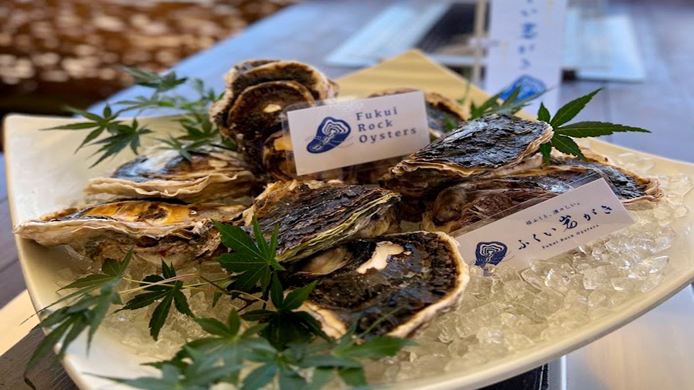 【日帰りランチ】〜夏だけのひと粒に出会う〜海テラスで味わうふくい岩がき贅の三味セレクション