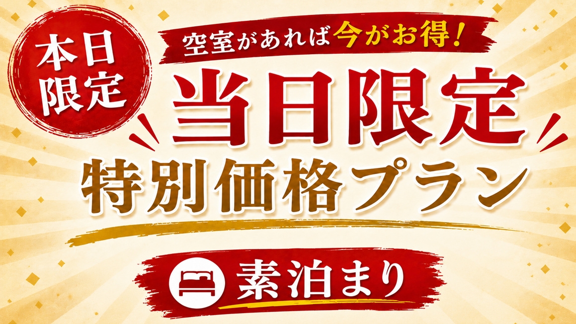  【当日限定＊特別価格】急なお泊まりにおすすめ！お得な素泊まりプラン