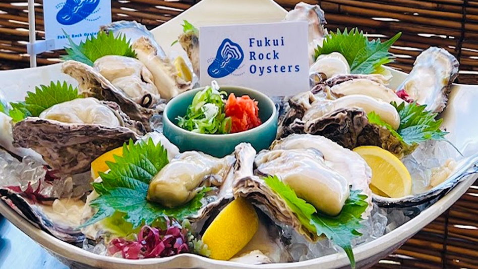 【日帰りランチ】〜夏だけのひと粒に出会う〜海テラスで味わうふくい岩がき贅の三味セレクション