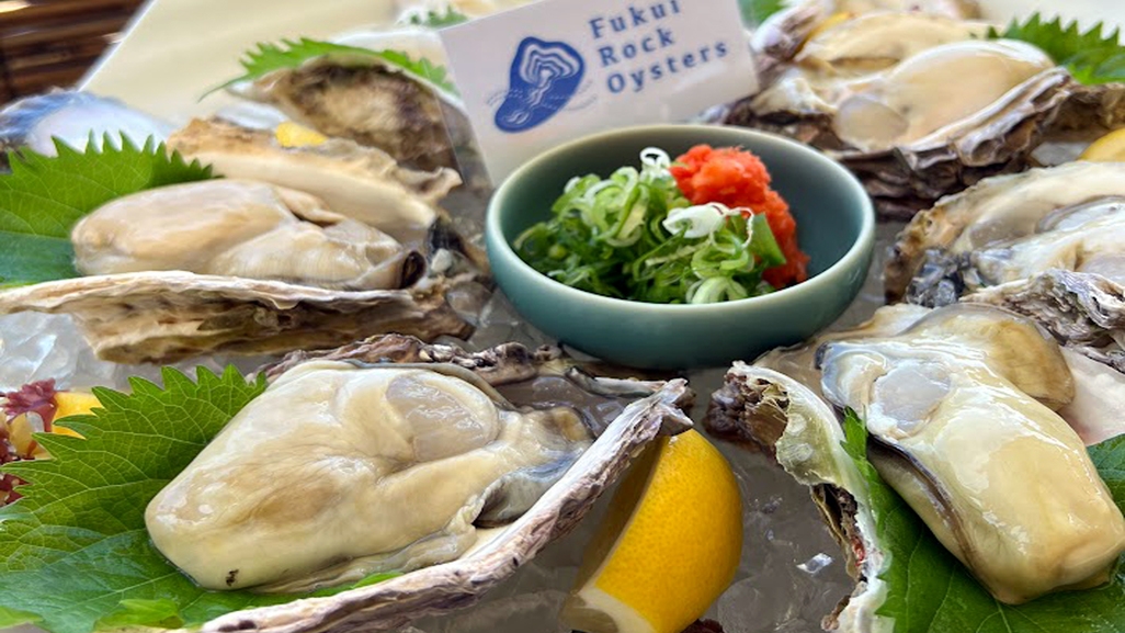 【夏だけのひと粒に出会う】海テラスで味わうふくい岩がき贅の三味セレクション