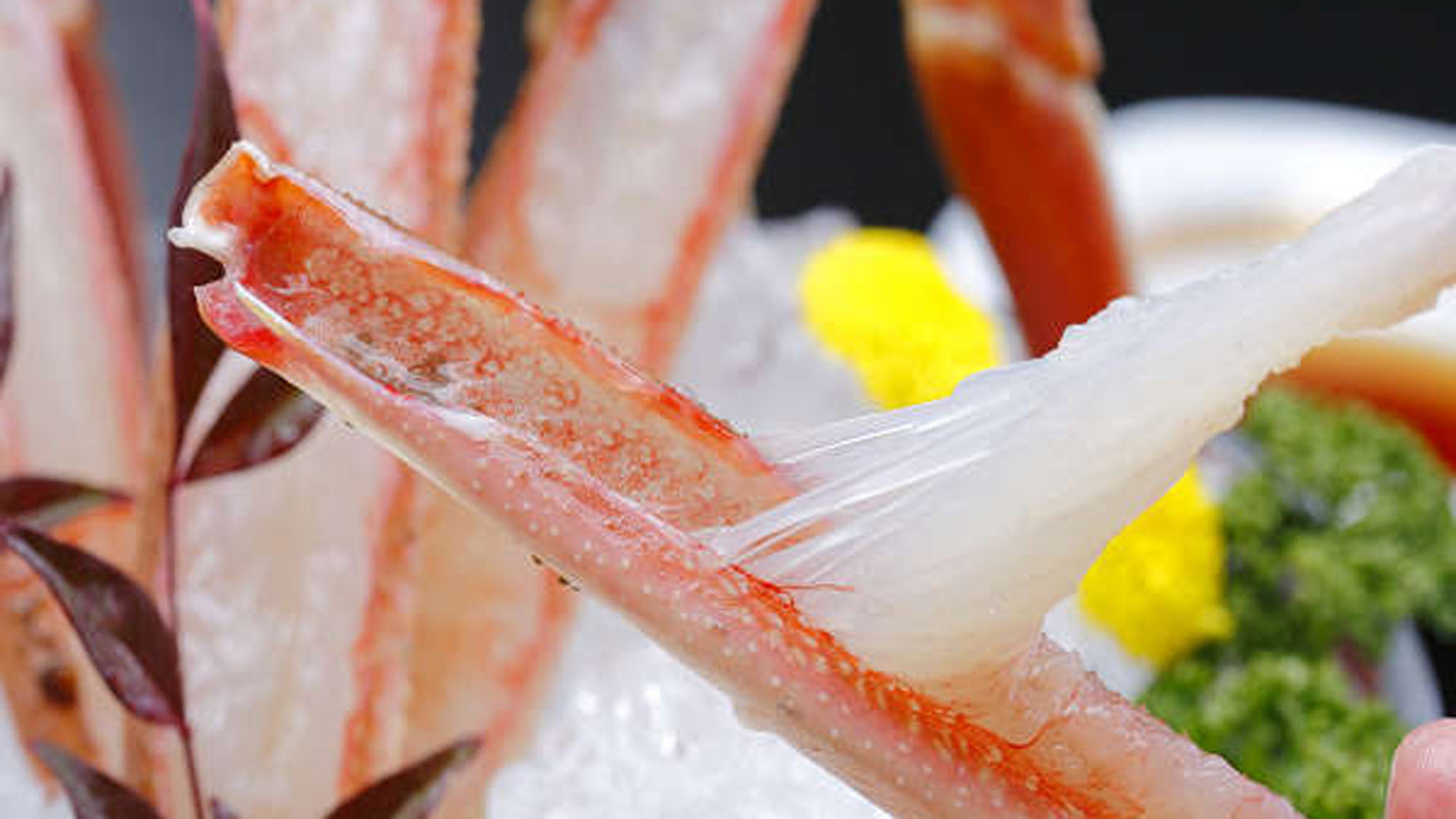 新鮮な活蟹ならではのとろける甘さを味わってください。