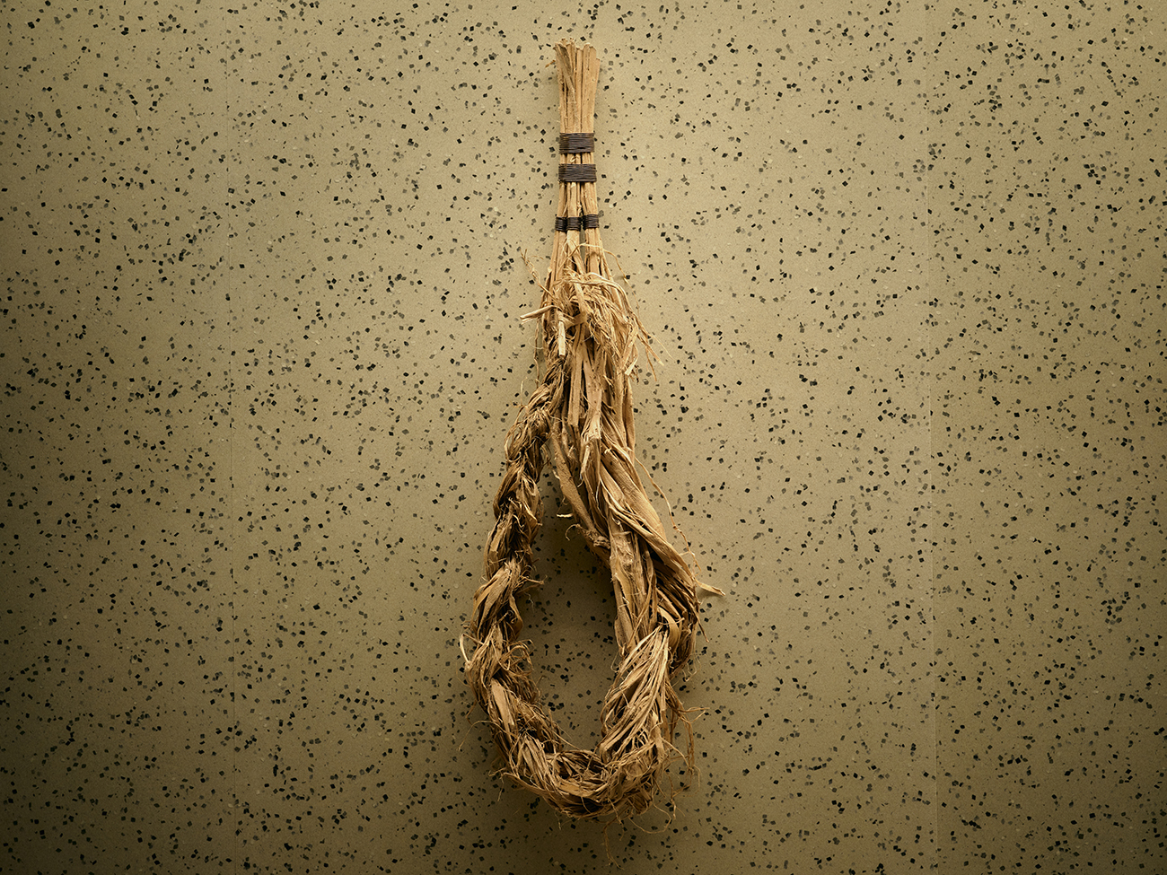 三椏_アートワーク