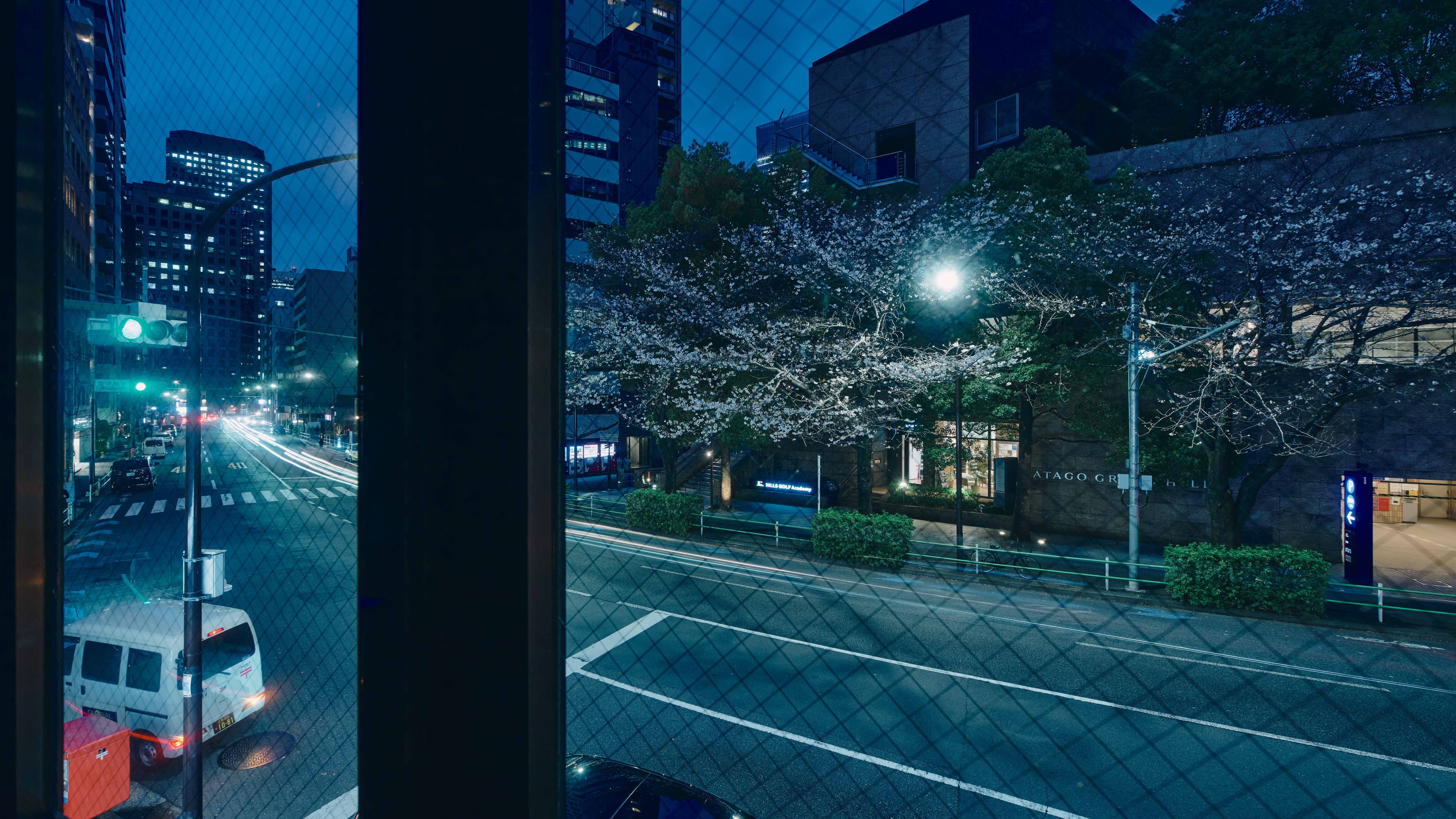 客室からの景色