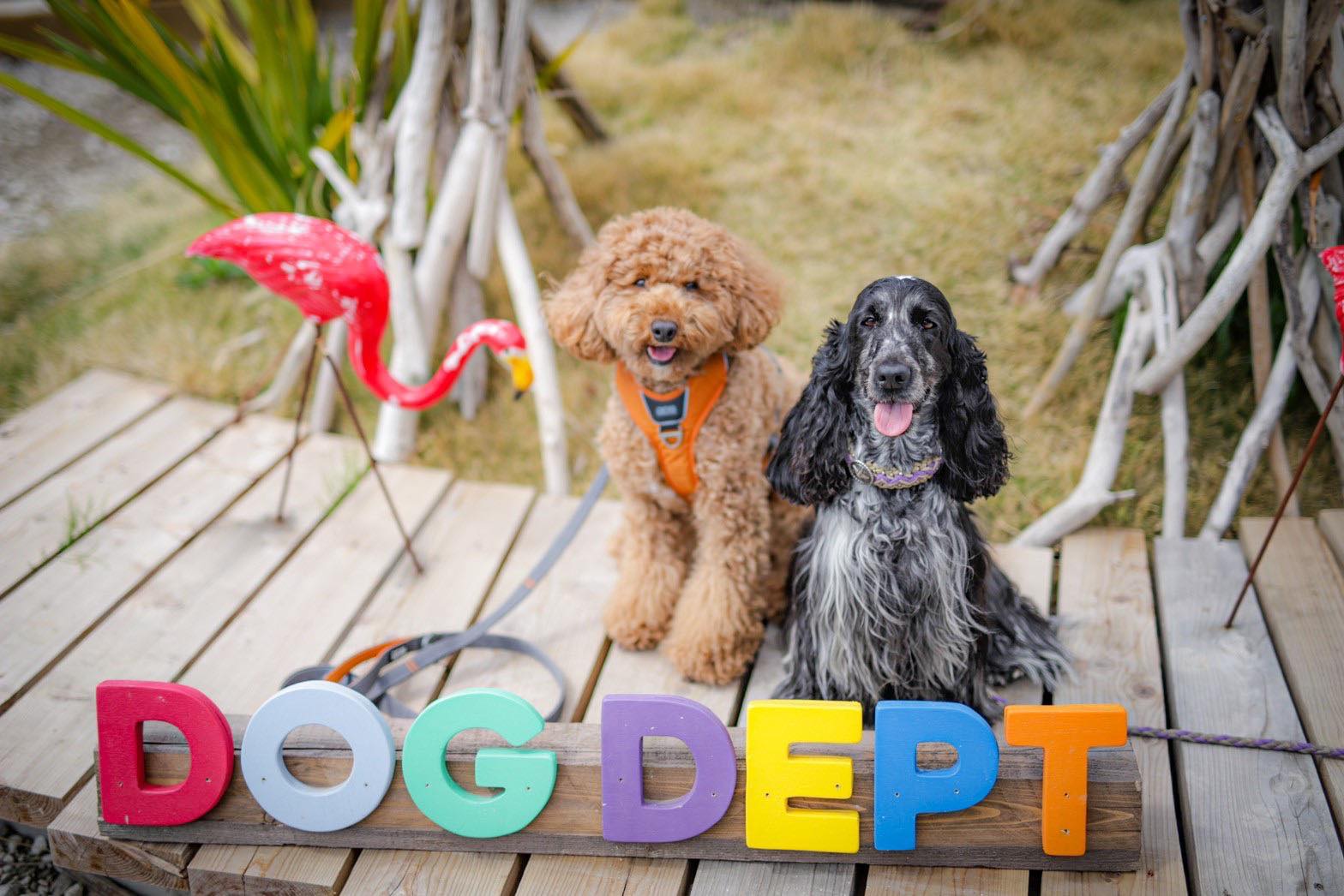 フォトスポット