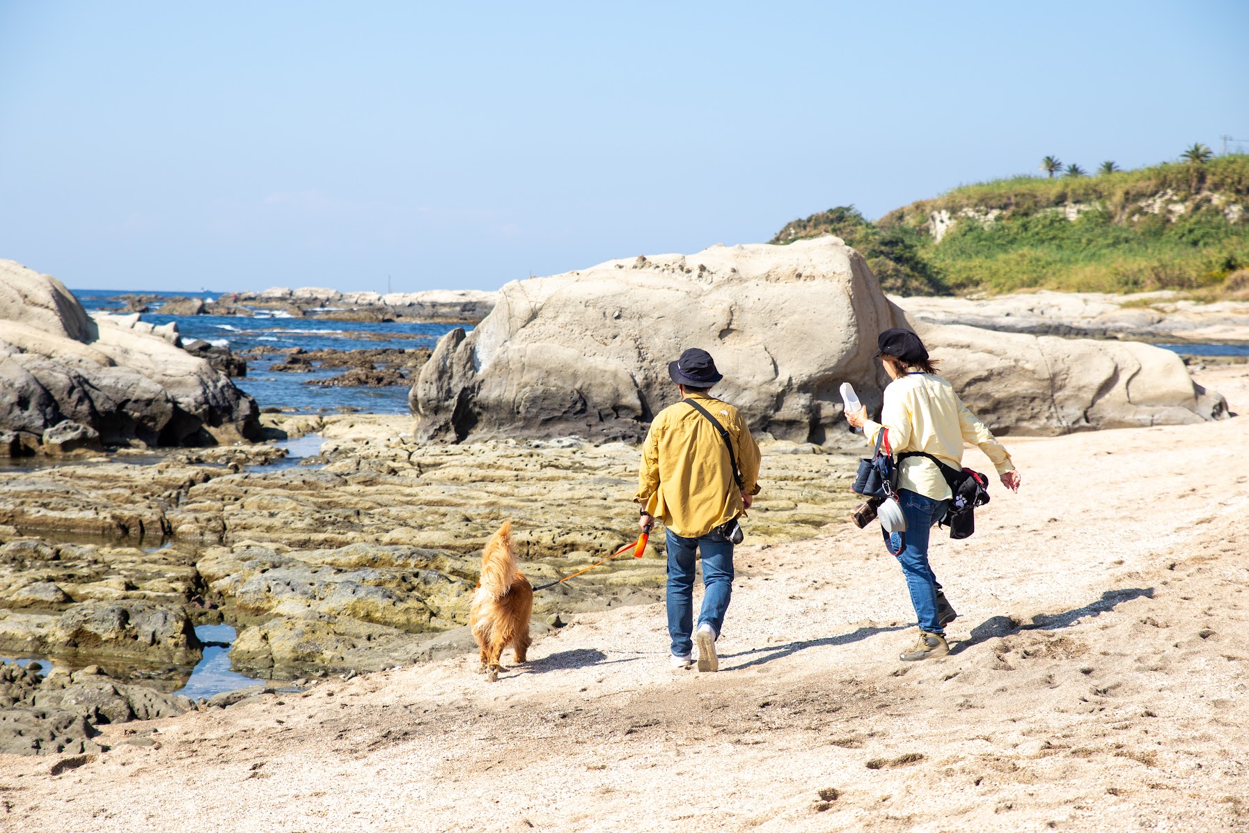 海とワンちゃん