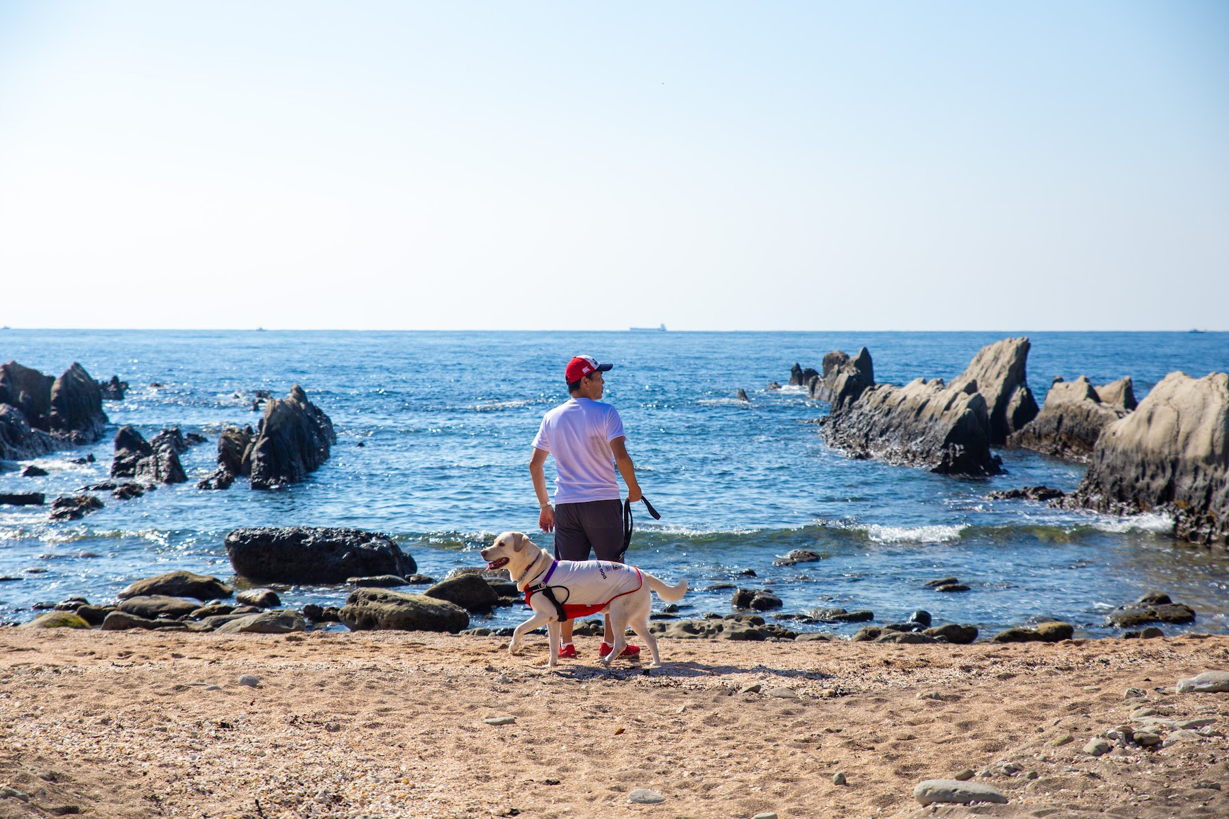 海とワンちゃん