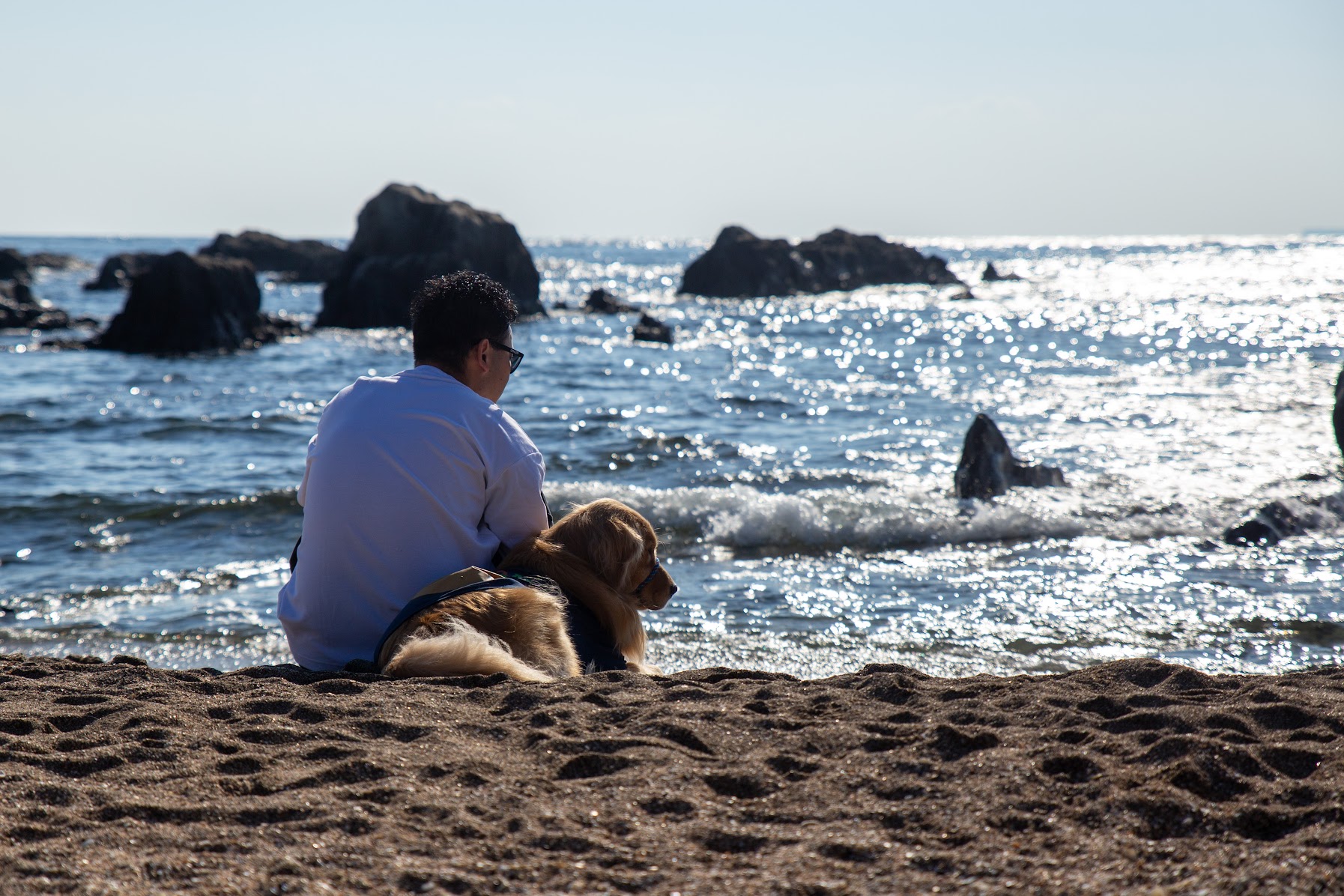 海とワンちゃん
