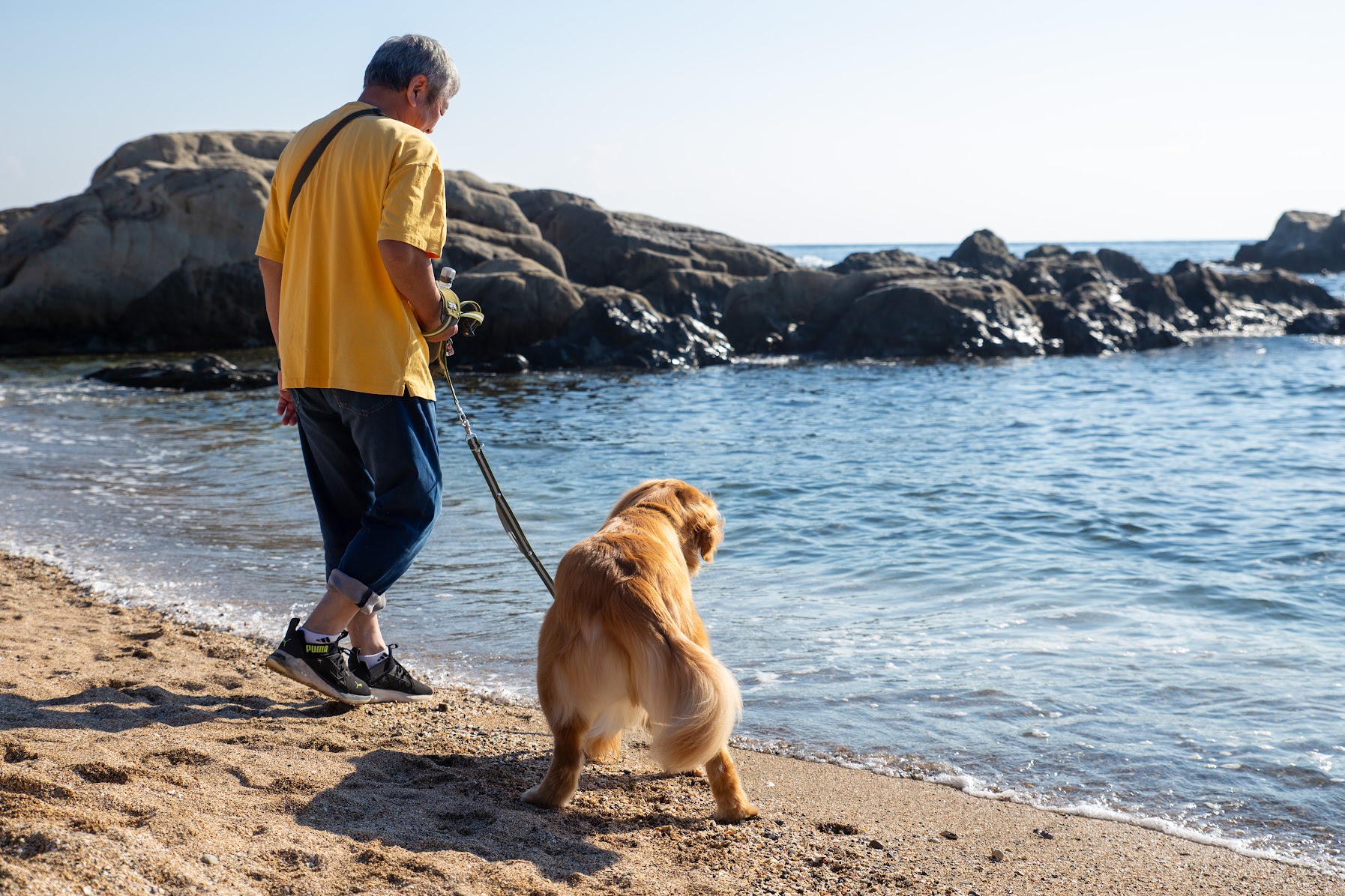 海とワンちゃん