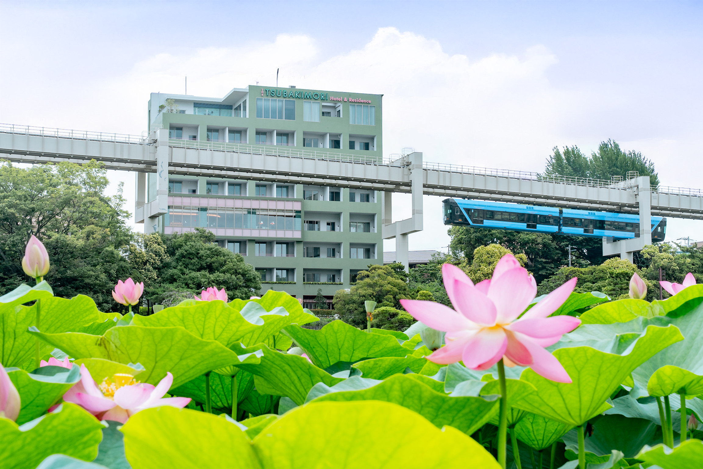 当ホテル目の前は、緑豊かな「千葉公園」。初夏には美しいピンクの大賀ハスが満開を迎えます。早朝の散歩や、公園内を走るモノレールを眺めながら、贅沢なパークサイド・ステイをお楽しみいただけます。