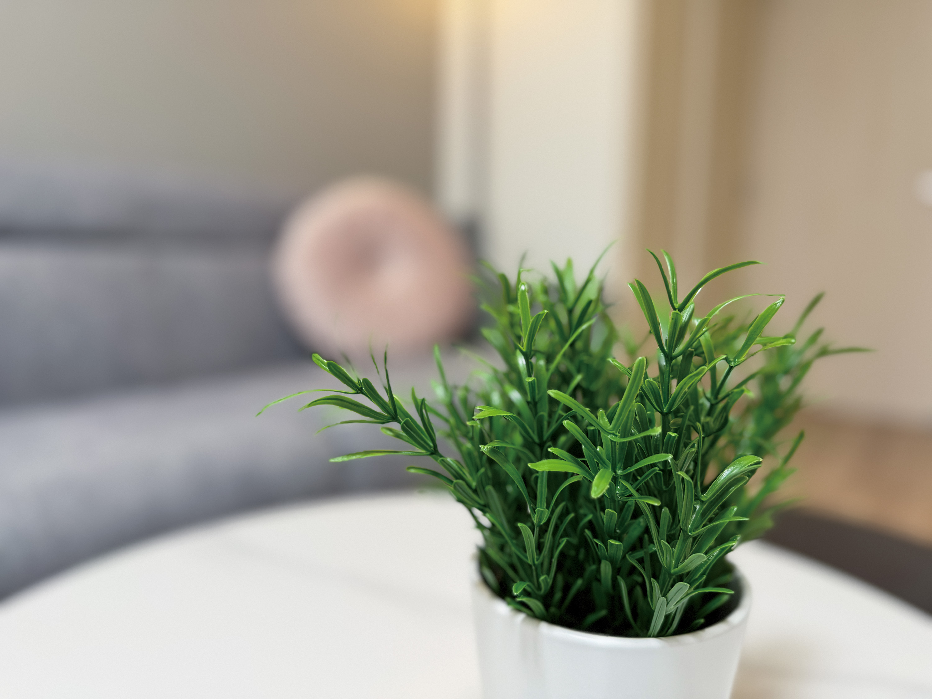 203・303・403・503・603・703号室（同タイプ）